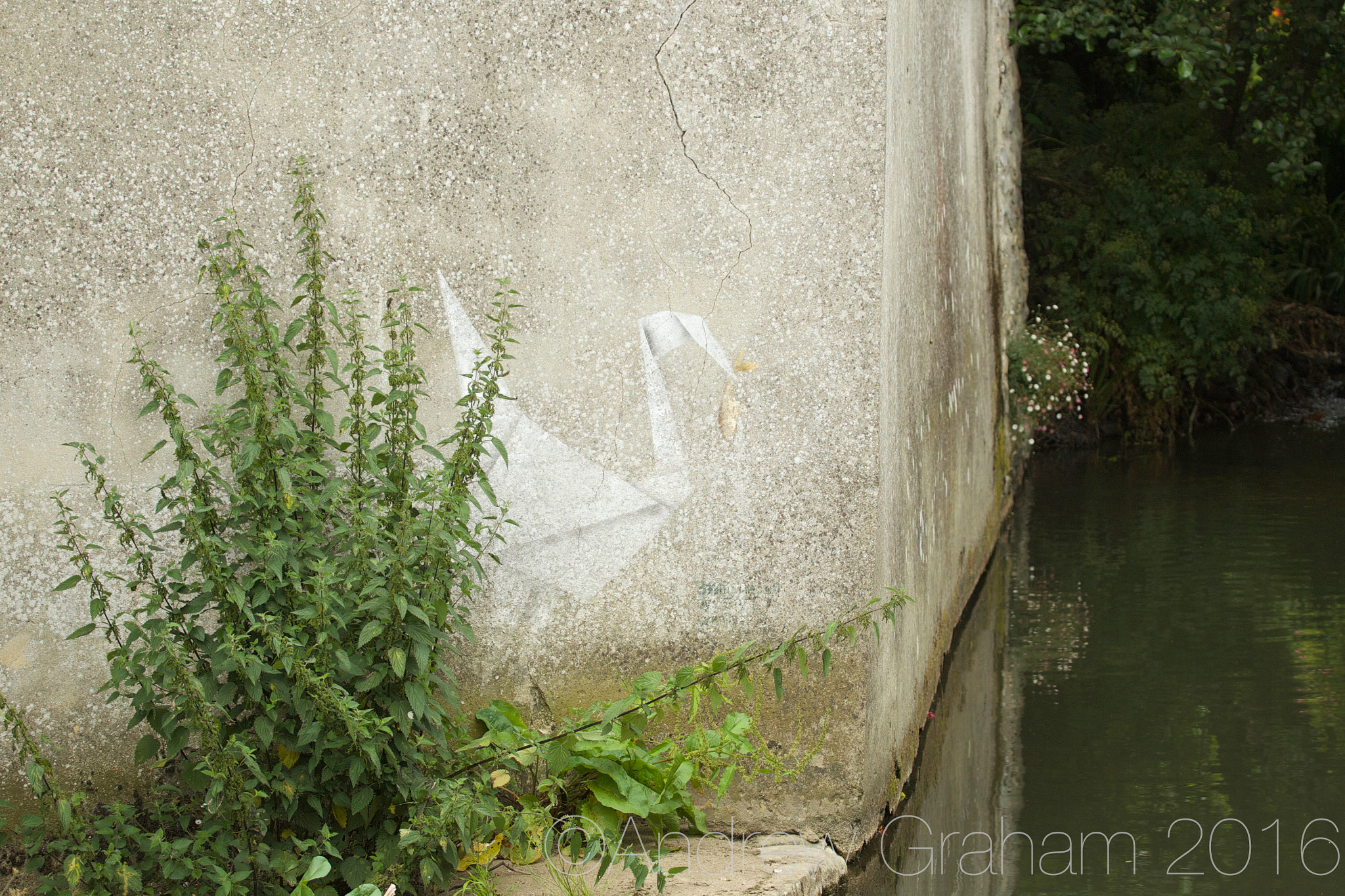 Canon EOS-1D Mark IV + Canon EF 100-400mm F4.5-5.6L IS USM sample photo. Overgrown banksy photography