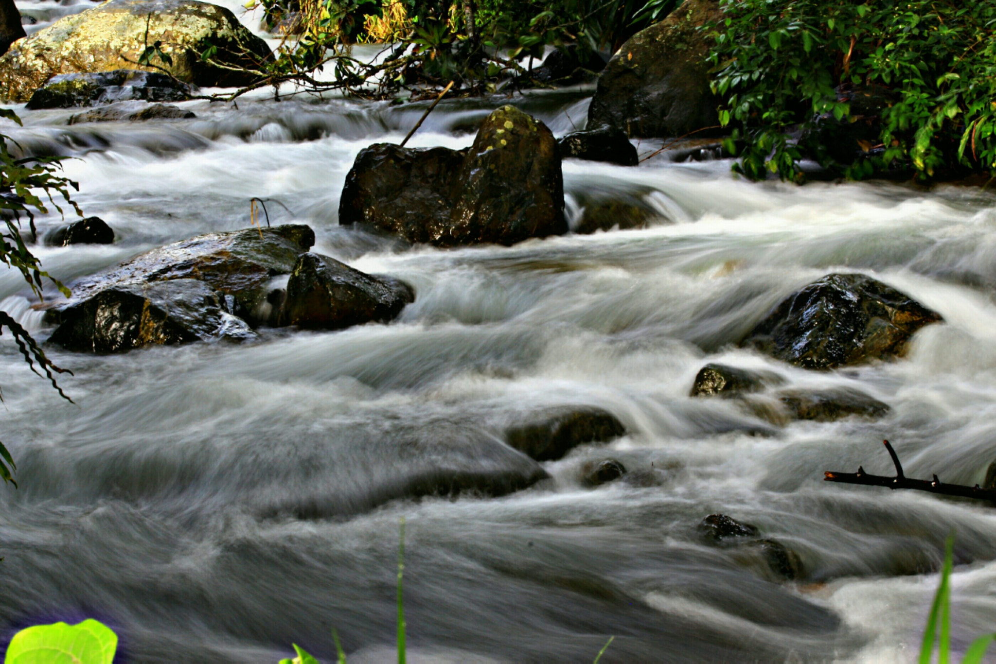 Canon EF 70-300mm F4-5.6 IS USM sample photo. Descanso photography