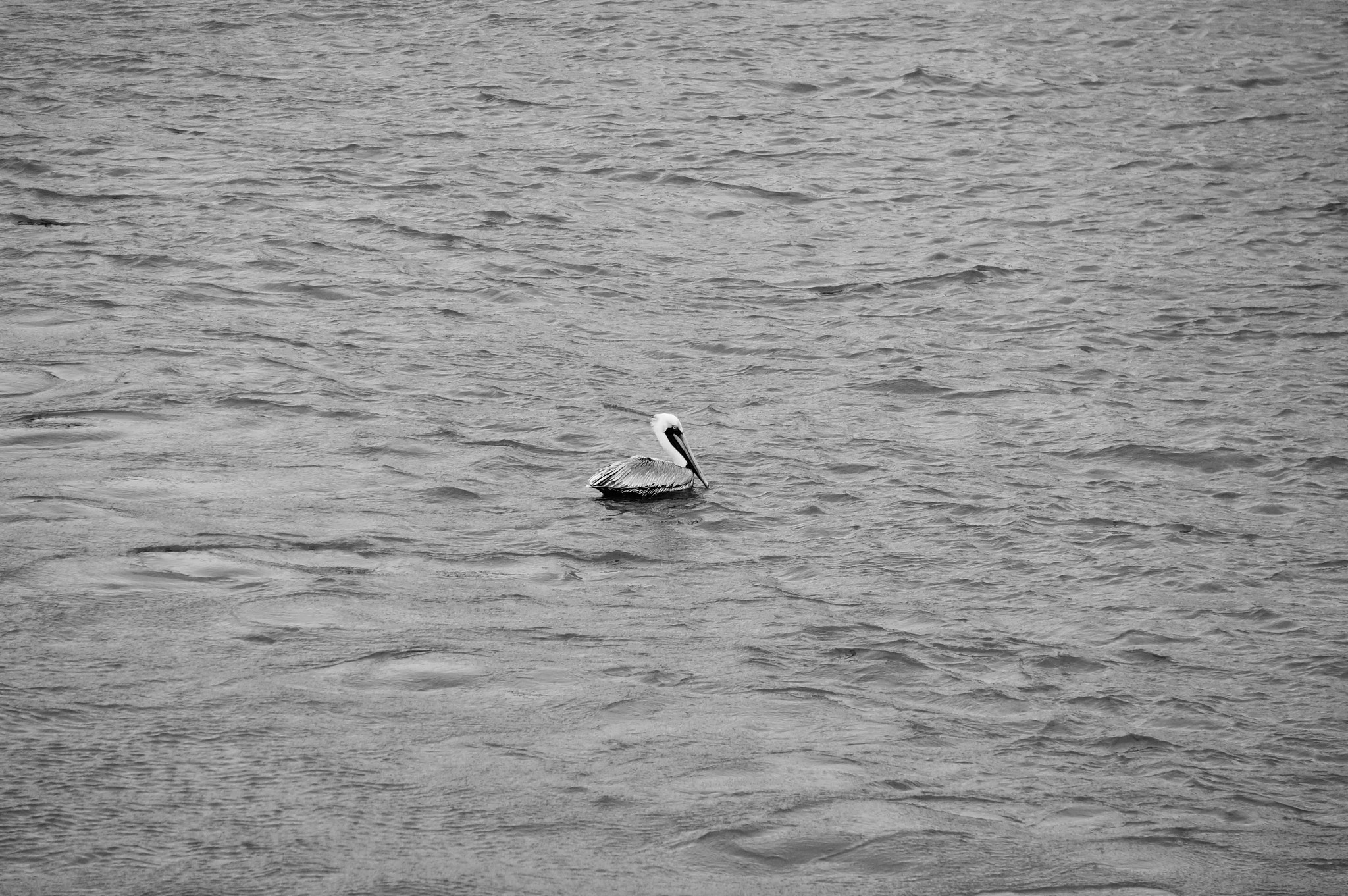 Sony Alpha NEX-3N sample photo. Alone photography