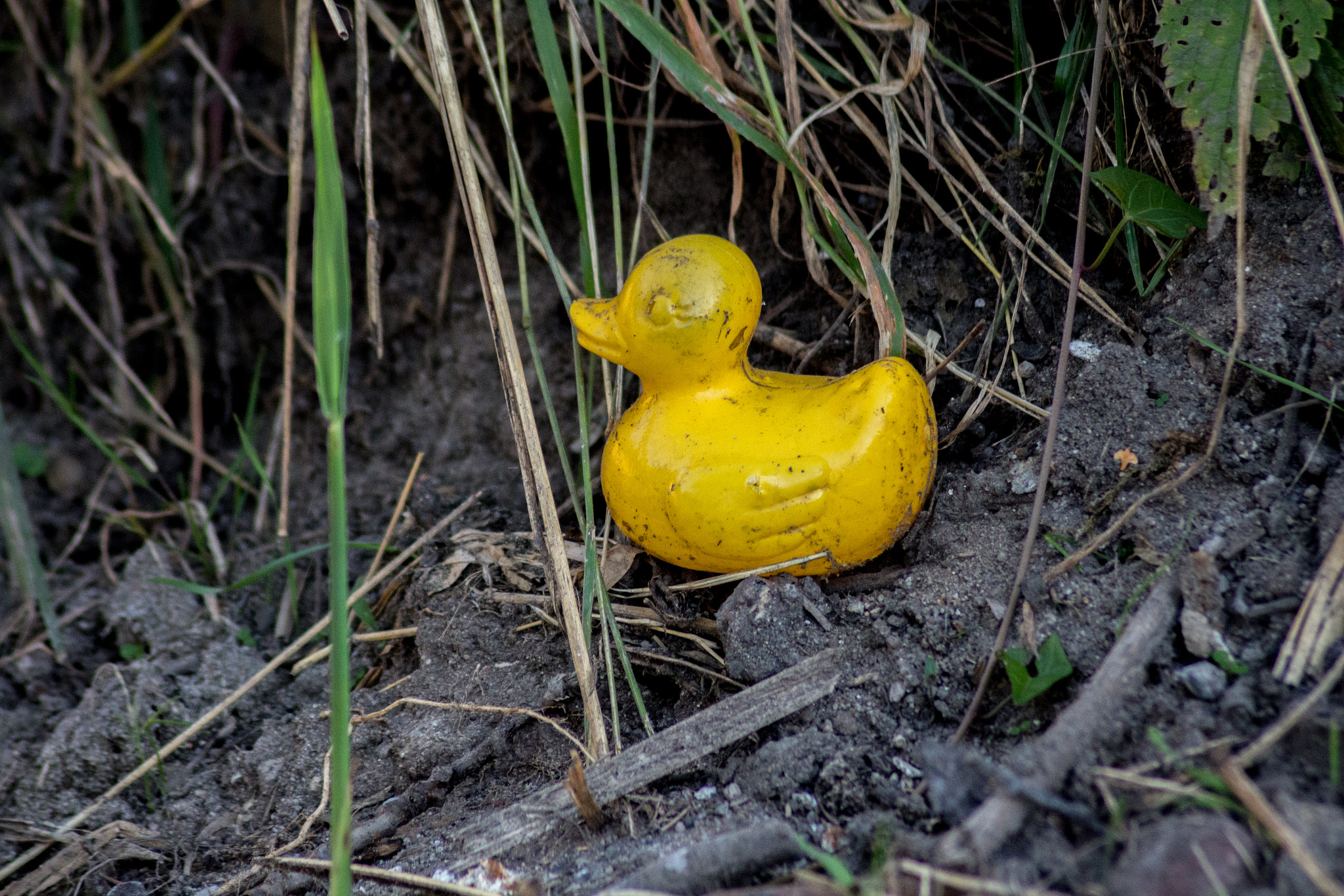 Canon EOS 650D (EOS Rebel T4i / EOS Kiss X6i) sample photo. Abandoned photography