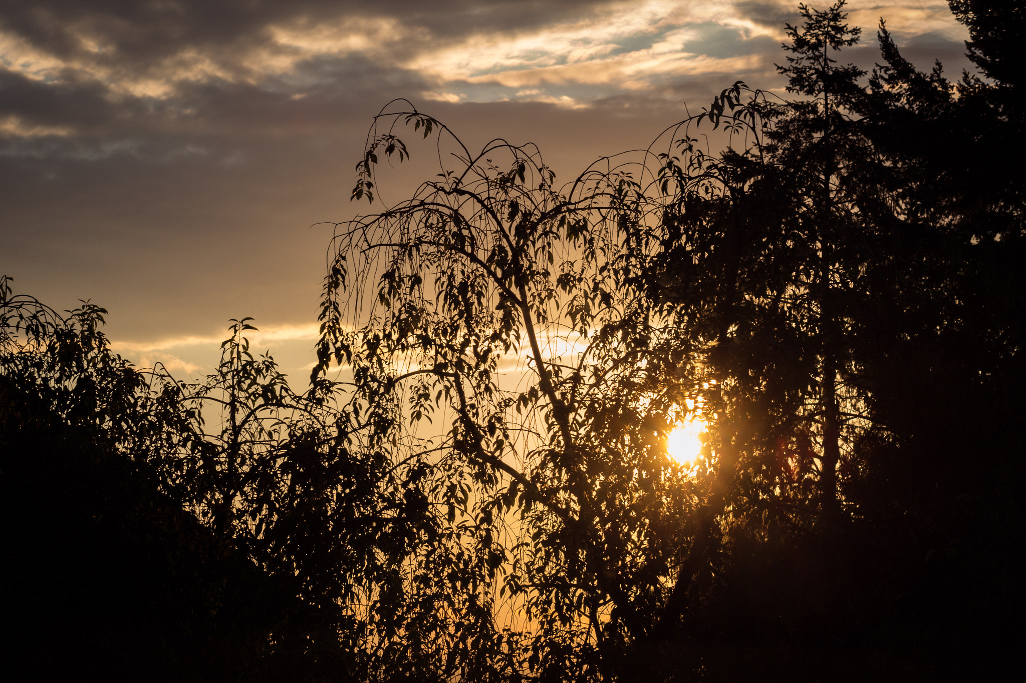 Canon EOS 650D (EOS Rebel T4i / EOS Kiss X6i) sample photo. Sunset photography