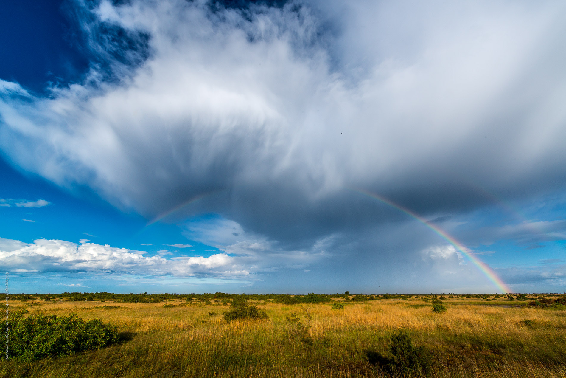 Tamron SP 15-30mm F2.8 Di VC USD sample photo. Absolut rainbow ll photography