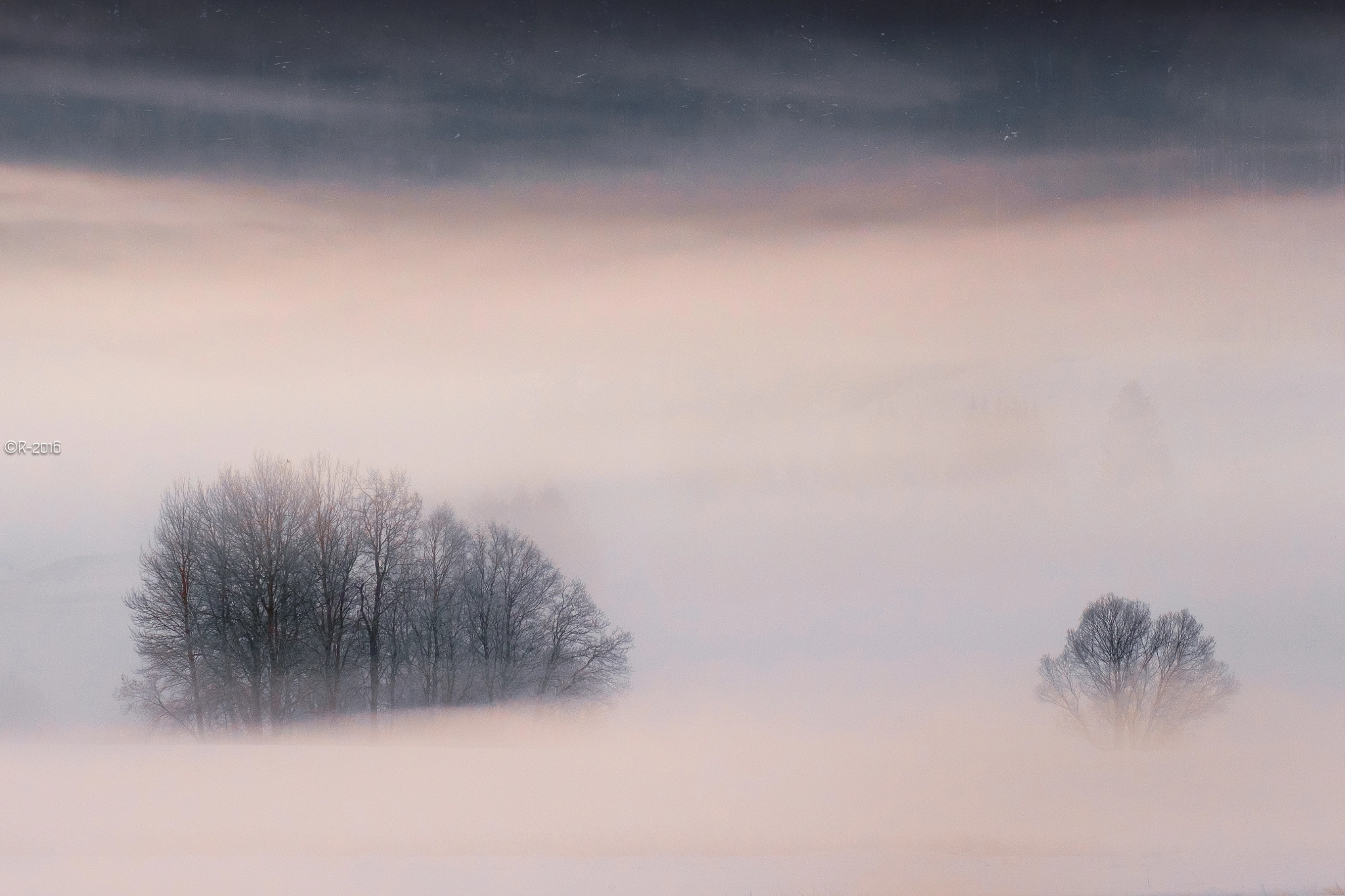 Fujifilm XF 55-200mm F3.5-4.8 R LM OIS sample photo. Winter coat photography