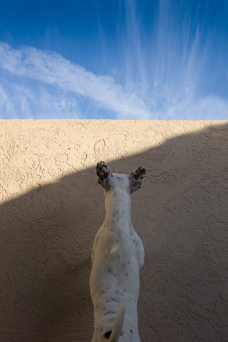 E 32mm F1.8 sample photo. Breaking walls photography