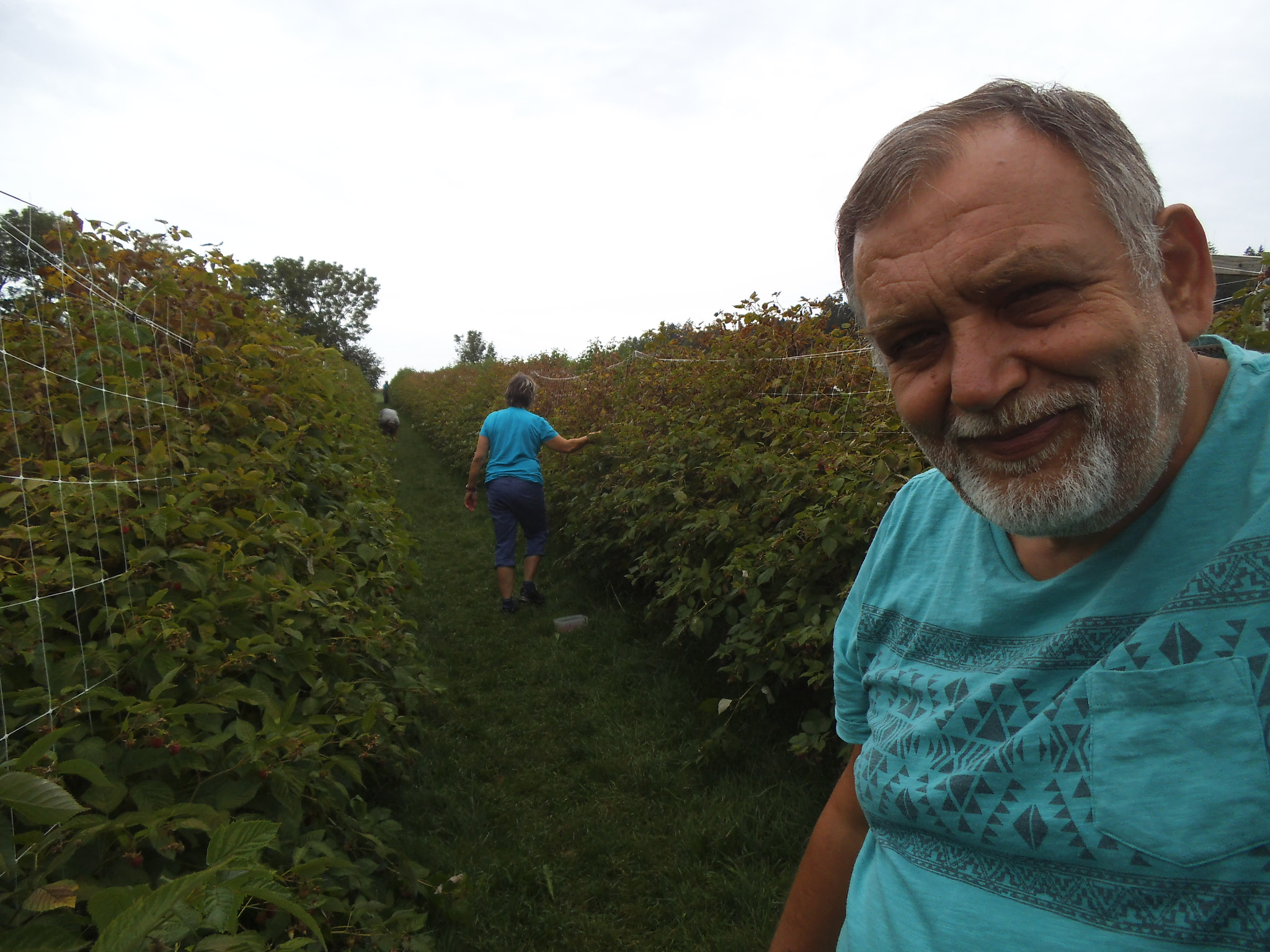 Fujifilm FinePix JZ250/JZ260 sample photo. Today we went to liebewil be for self picking some raspberries photography