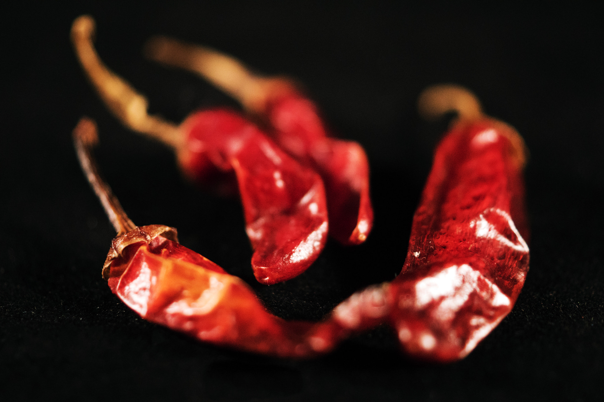 Sony DT 30mm F2.8 Macro SAM sample photo. Fiery photography