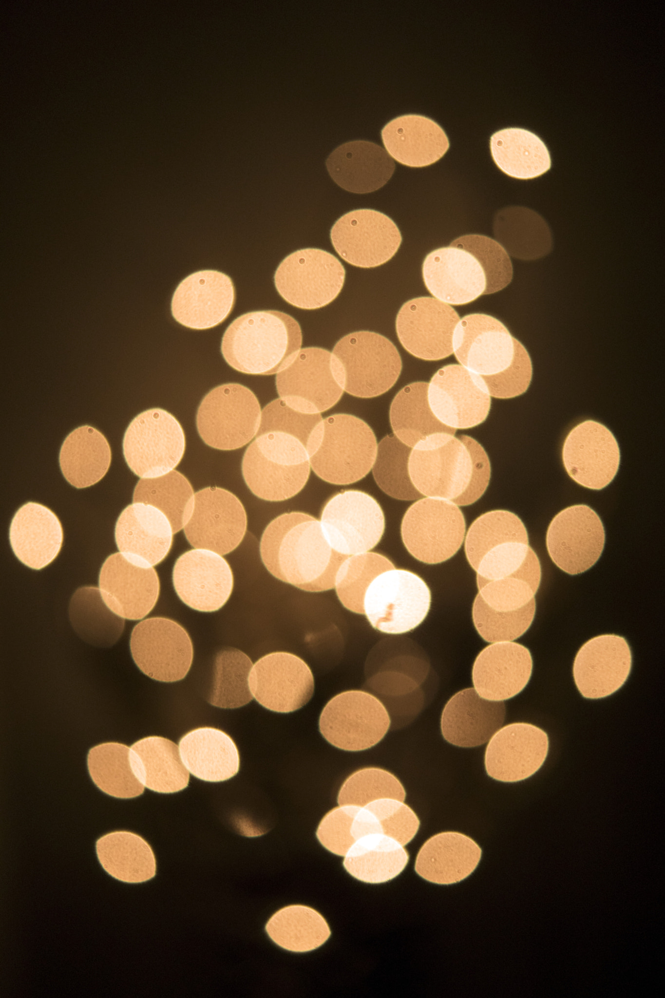 Sony DT 30mm F2.8 Macro SAM sample photo. Twinkle photography