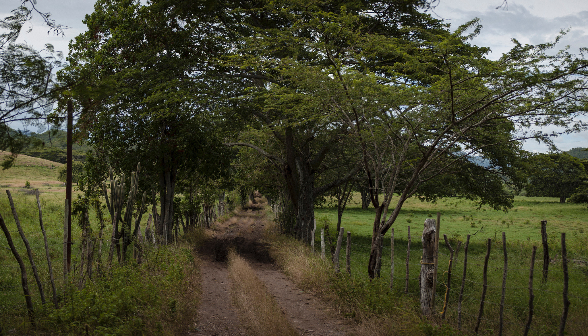 Nikon D50 sample photo. Entrance photography