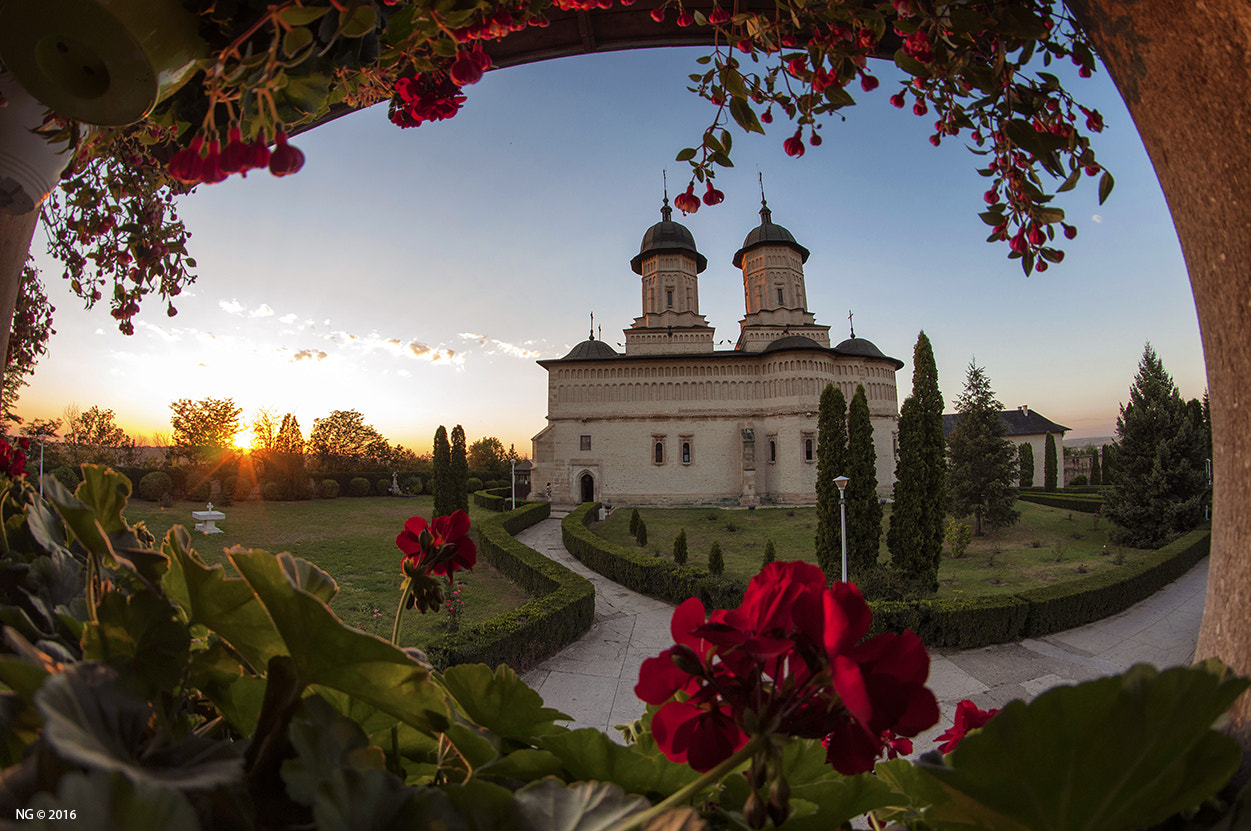 Nikon D90 + Samyang 8mm F3.5 Aspherical IF MC Fisheye sample photo. Cetățuia monastery photography