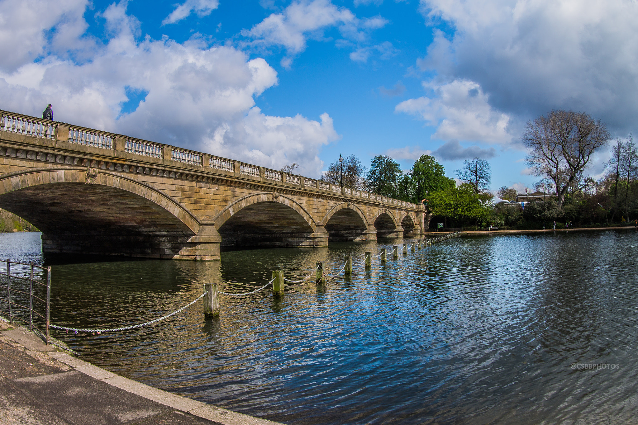 Canon EF 8-15mm F4L Fisheye USM sample photo