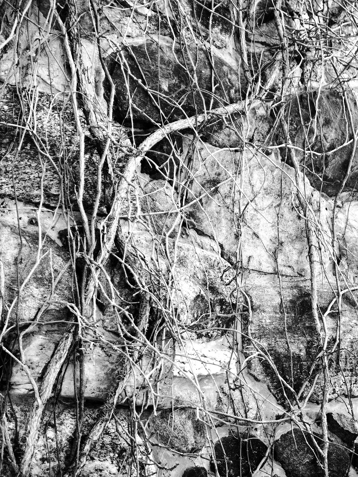 Panasonic Lumix DMC-G2 sample photo. Old stone tower at riverdale farm photography