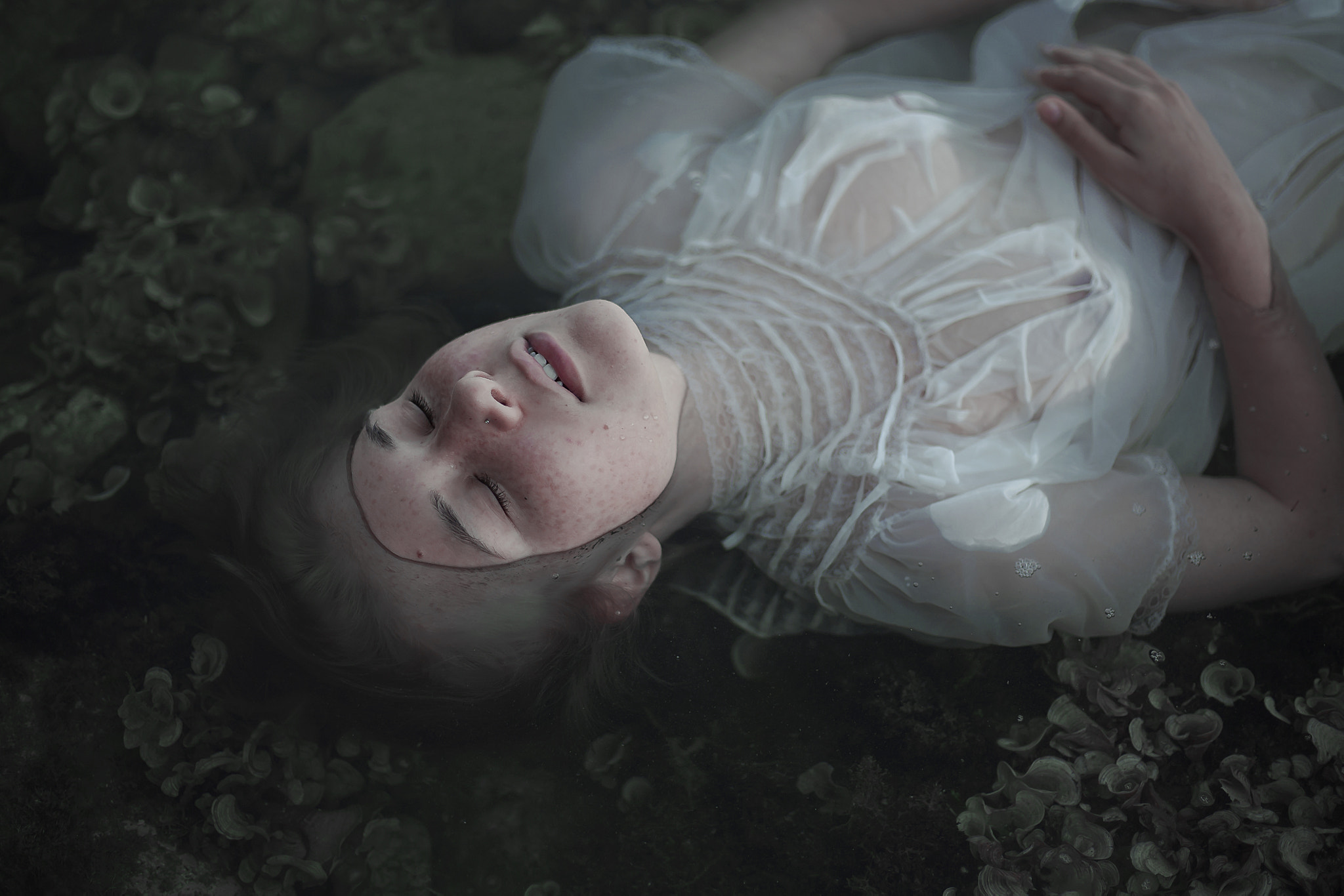 Canon EOS 5D + Canon EF 50mm F1.8 II sample photo. Slow death photography