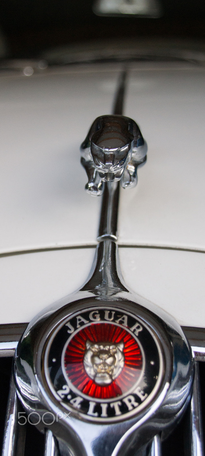 Tamron AF 28-105mm F4-5.6 [IF] sample photo. Jaguar photography