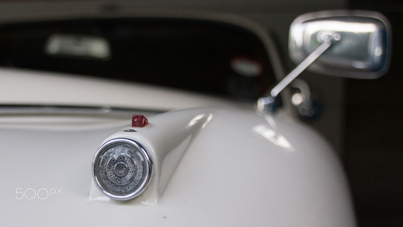 Sony SLT-A65 (SLT-A65V) + Tamron AF 28-105mm F4-5.6 [IF] sample photo. Jaguar photography