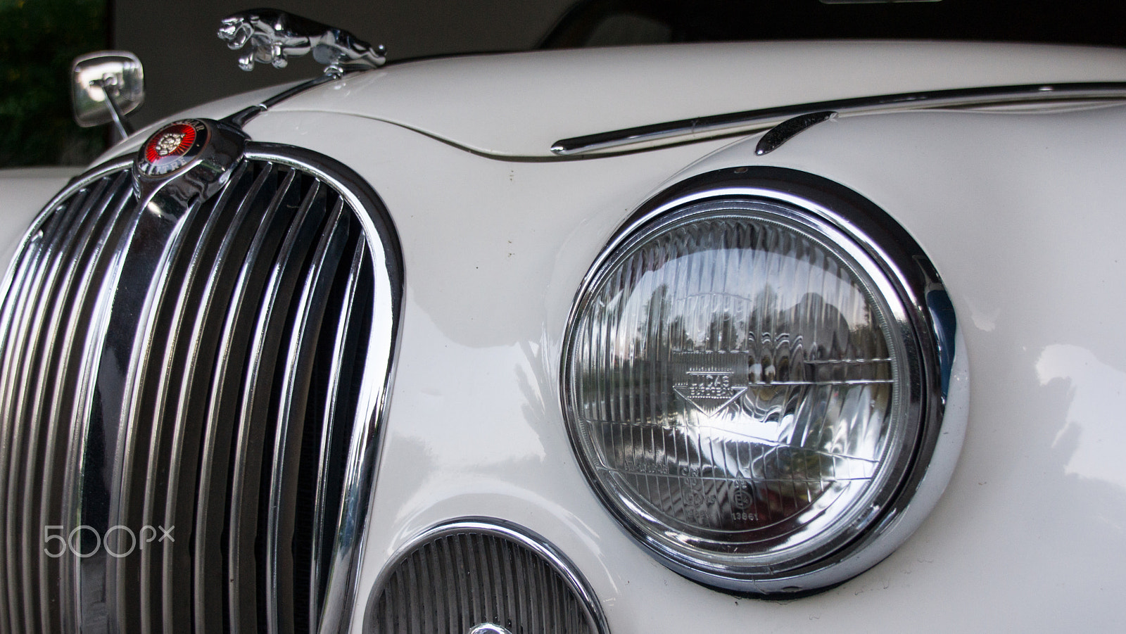 Sony SLT-A65 (SLT-A65V) + Tamron AF 28-105mm F4-5.6 [IF] sample photo. Jaguar photography
