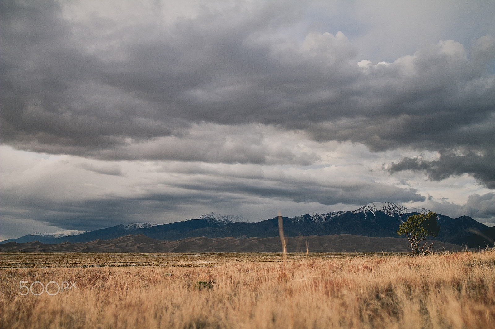 Sigma 24mm F1.4 DG HSM Art sample photo. Great sand dunes photography