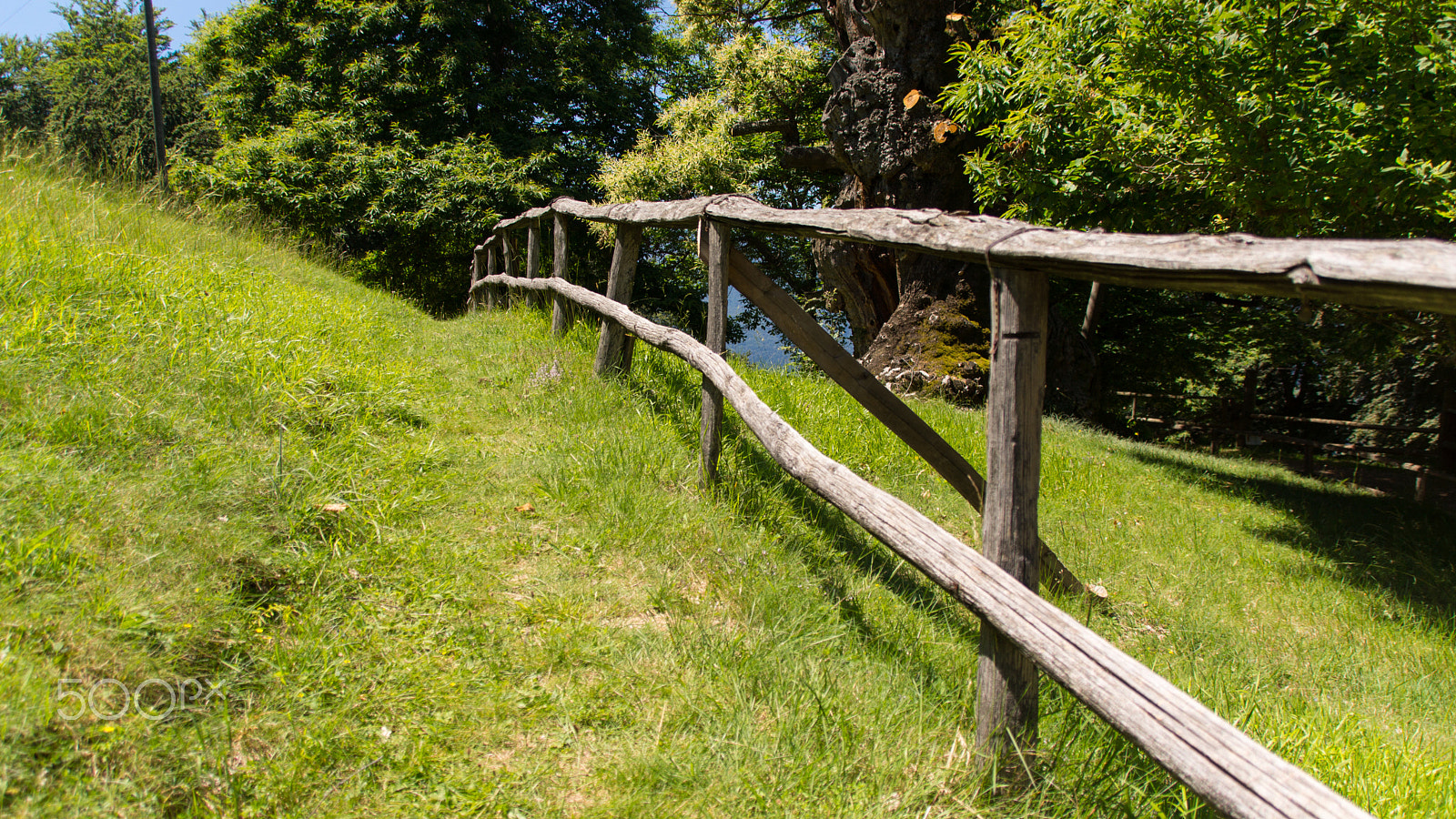 Sony SLT-A65 (SLT-A65V) + Tamron AF 28-105mm F4-5.6 [IF] sample photo. Italian countryside photography
