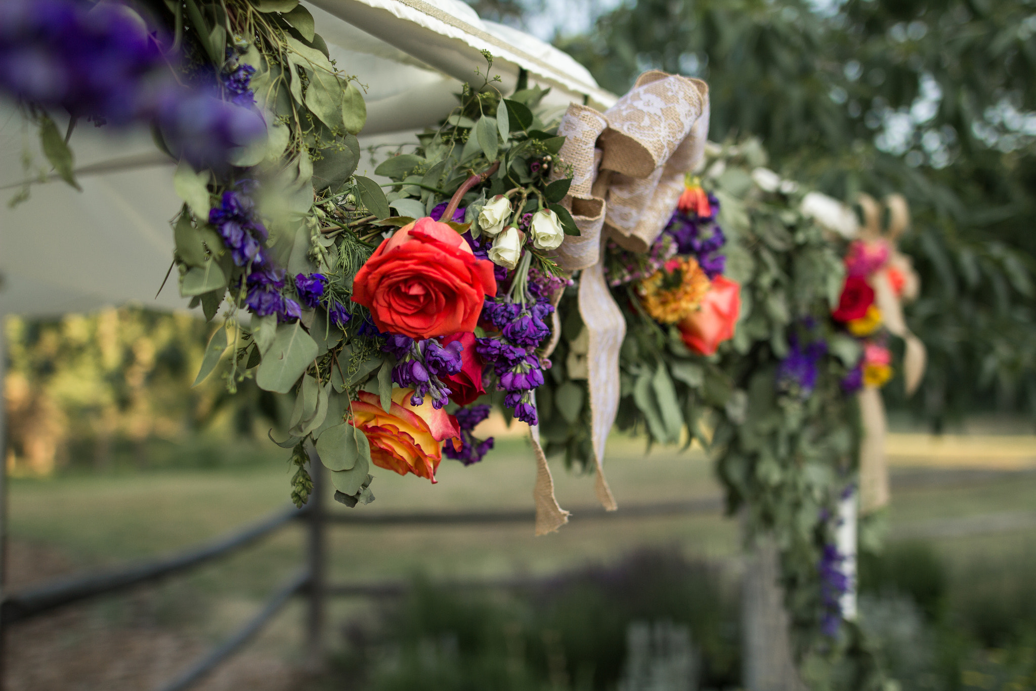 Sigma 24mm F1.4 DG HSM Art sample photo. Details photography