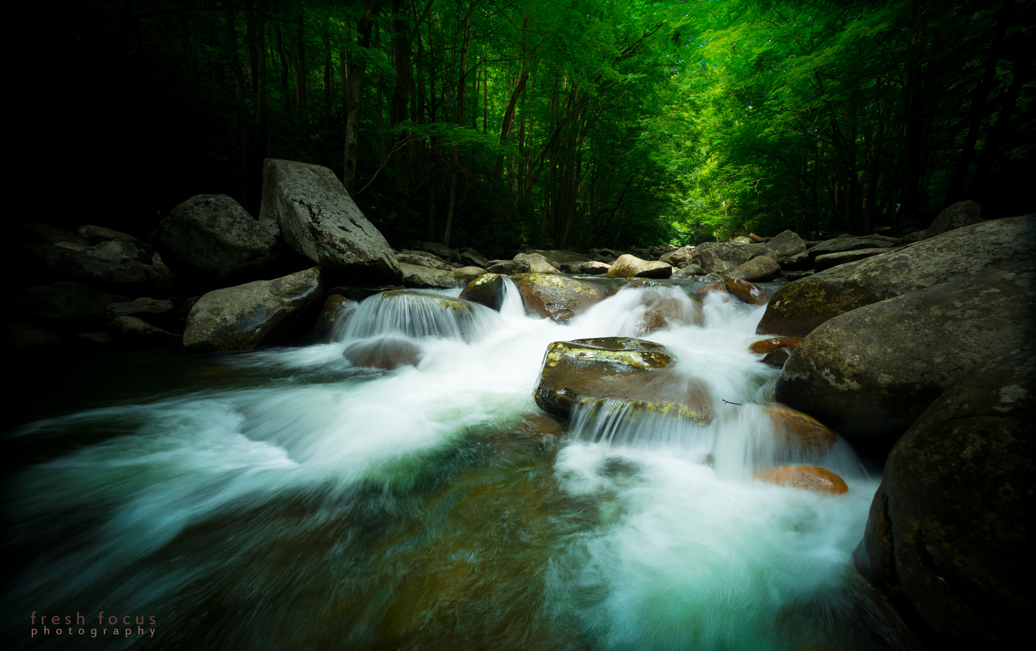 Sony a7R II + Sony E 10-18mm F4 OSS sample photo. Creek photography