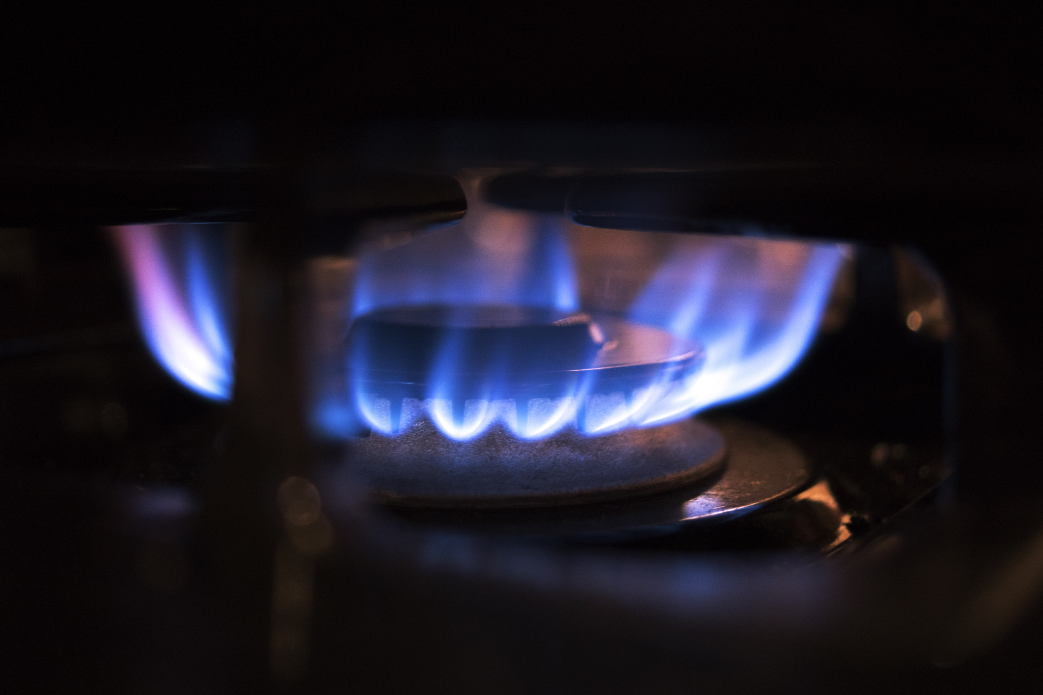 Sony DT 30mm F2.8 Macro SAM sample photo. Flambeau photography