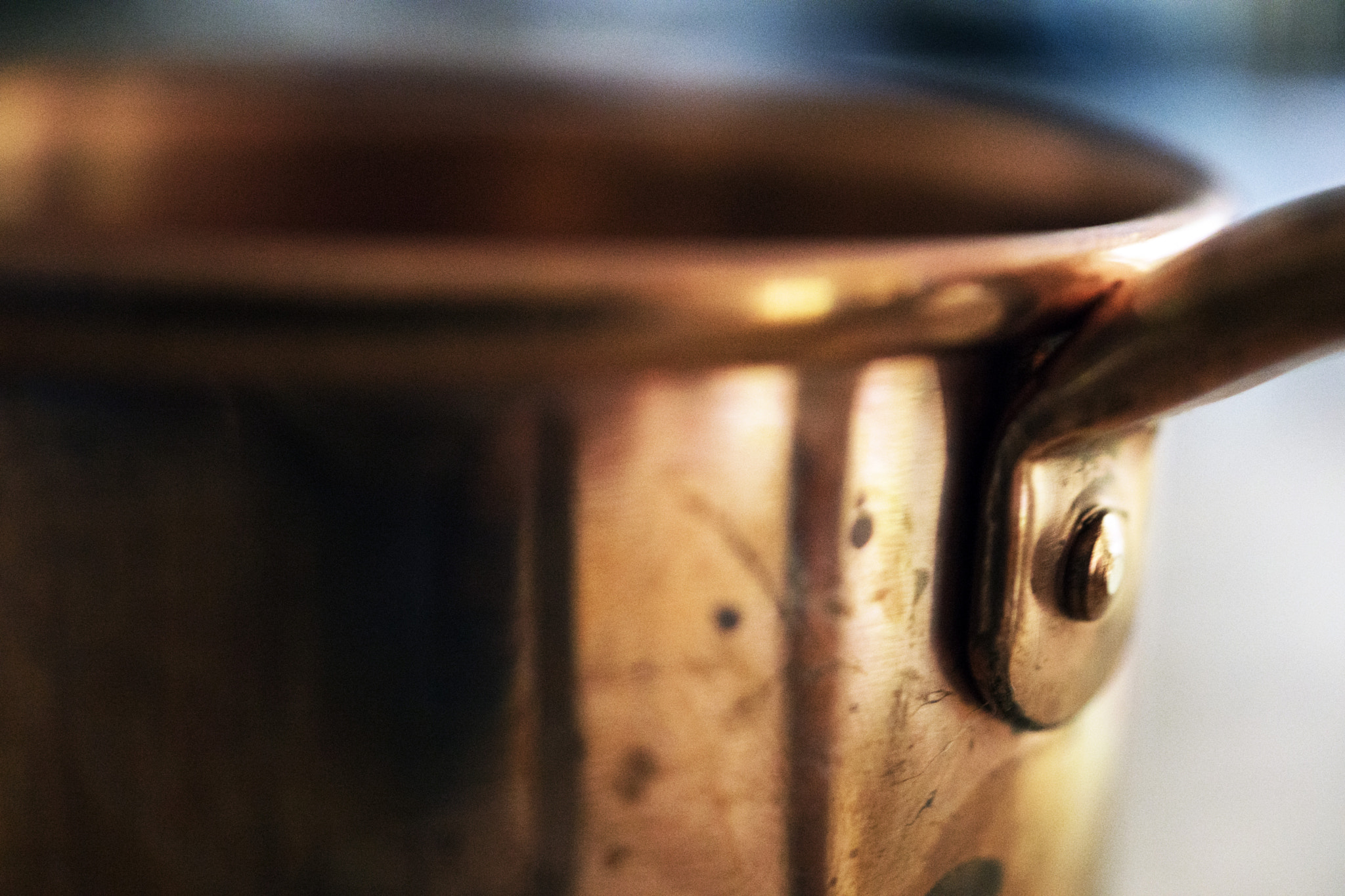 Sony DT 30mm F2.8 Macro SAM sample photo. Mule photography