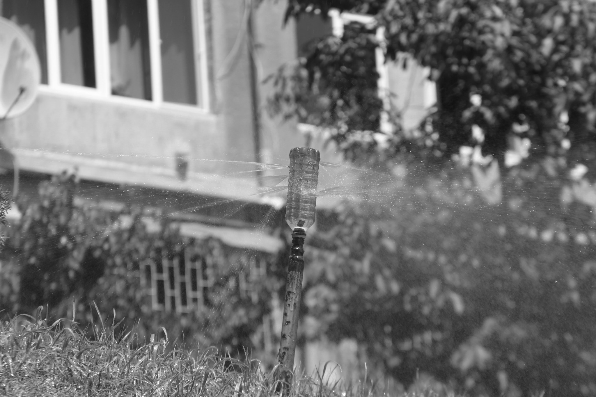 Canon EF 28-135mm F3.5-5.6 IS USM sample photo. Img_9327.jpg photography