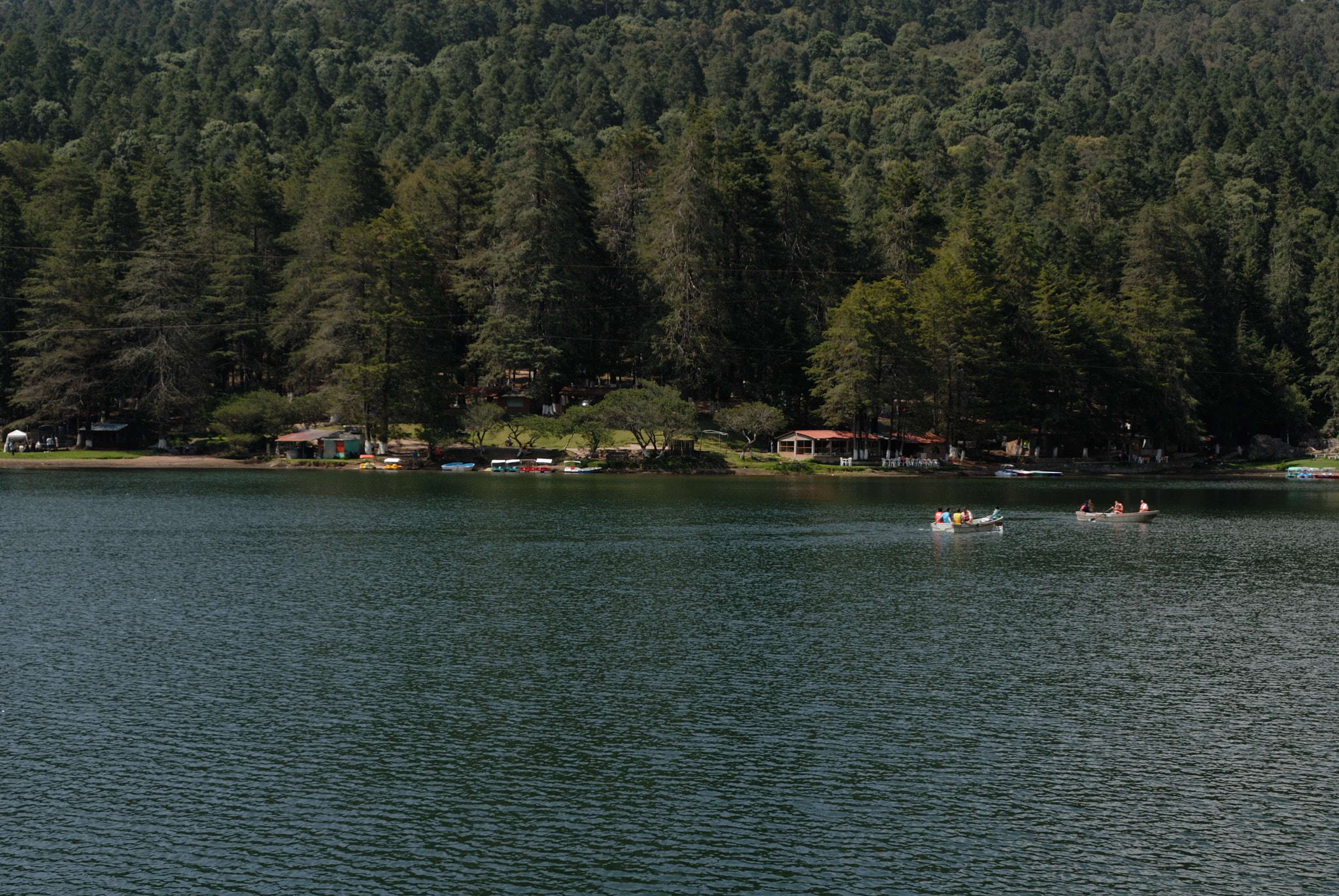 Nikon D200 sample photo. Bello y verde photography