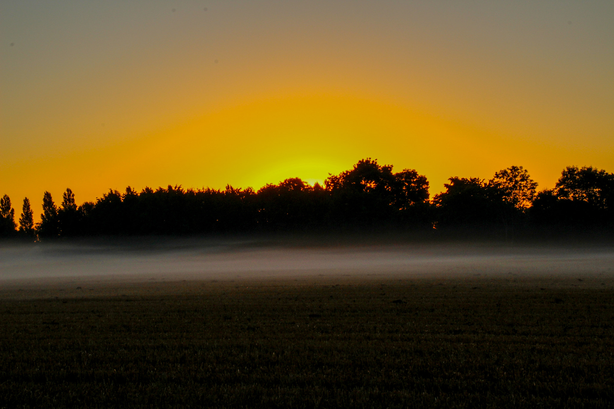 Canon EOS 100D (EOS Rebel SL1 / EOS Kiss X7) + Sigma 18-200mm f/3.5-6.3 DC OS HSM [II] sample photo. Sunrise in the fog photography