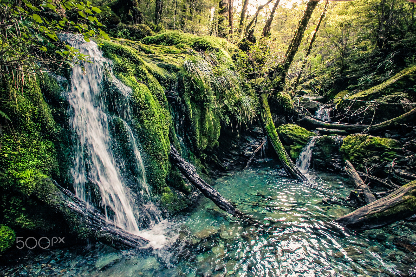 Sigma 10-20mm F3.5 EX DC HSM sample photo. Emerald pool photography