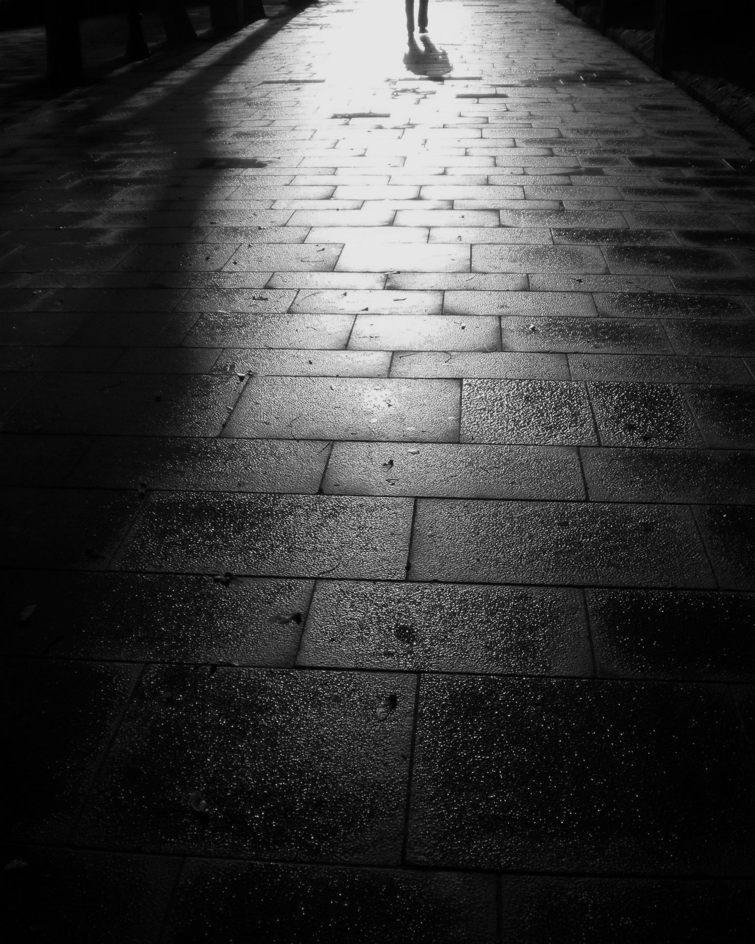 Olympus FE280,X820,C520 sample photo. Perderse entre la luz / lost in the light photography