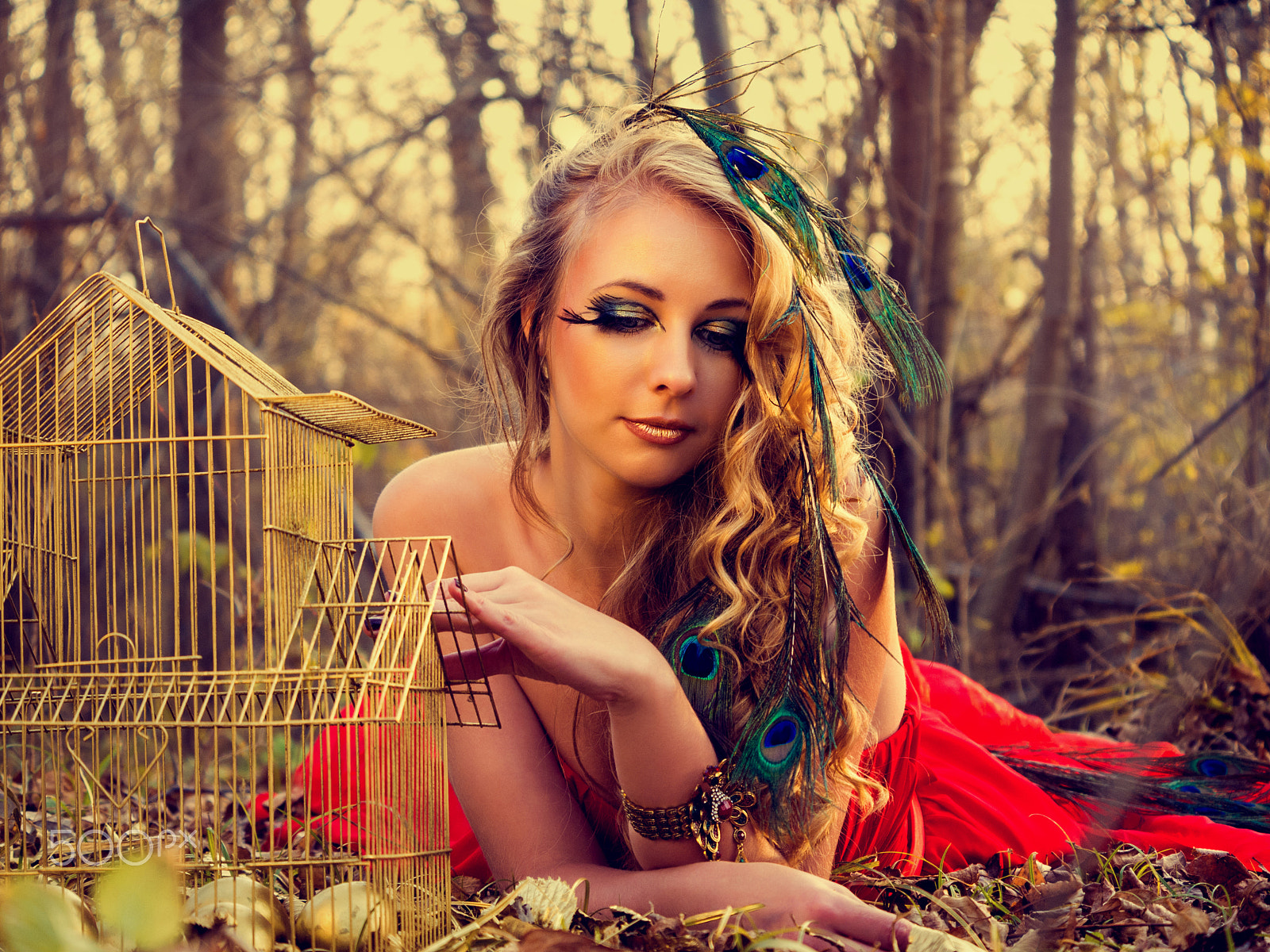 Panasonic Lumix DMC-G2 sample photo. Young woman with peacock feathers near a golden cage photography