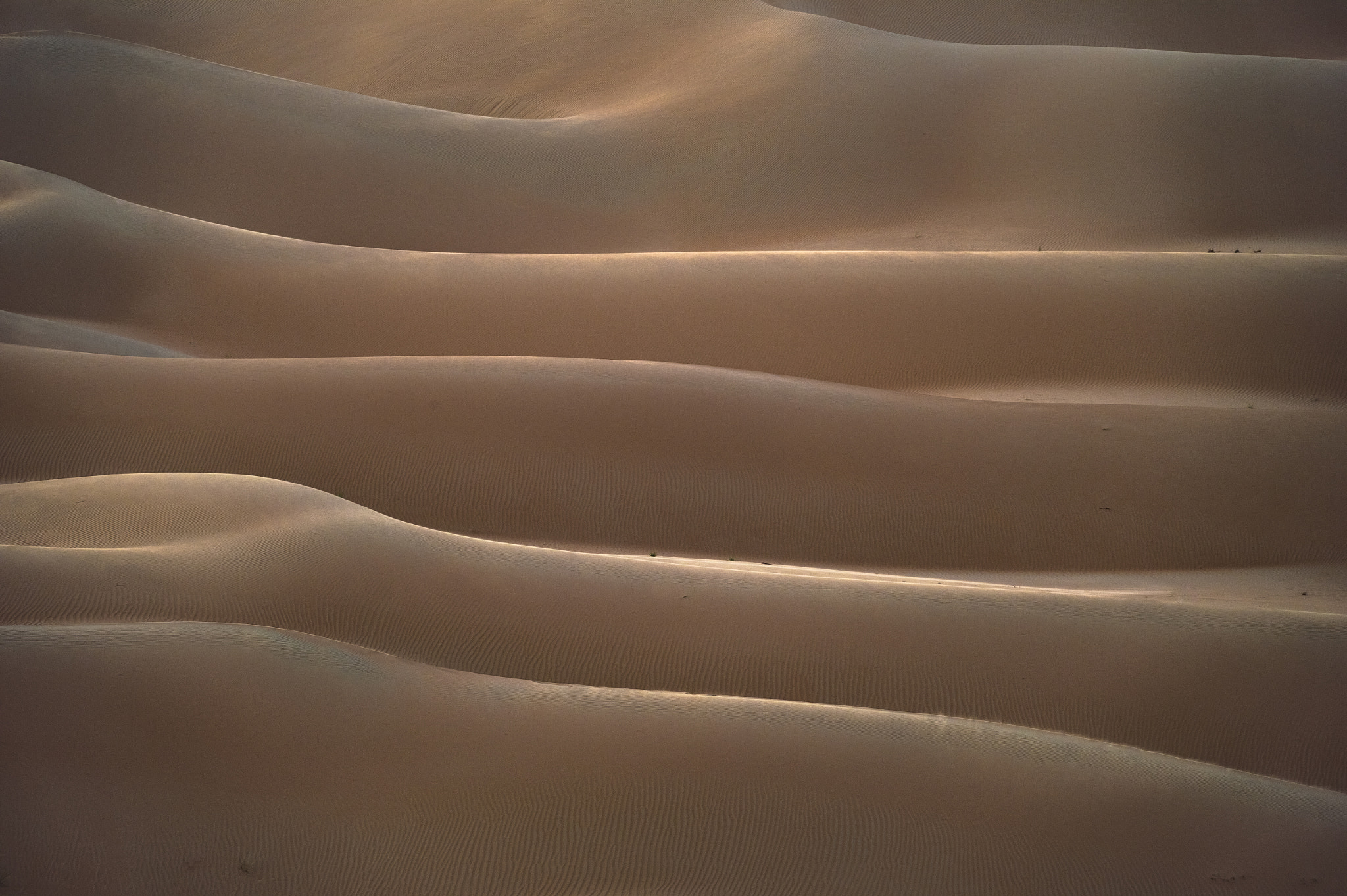 Sigma 150-600mm F5-6.3 DG OS HSM | S sample photo. Levels photography