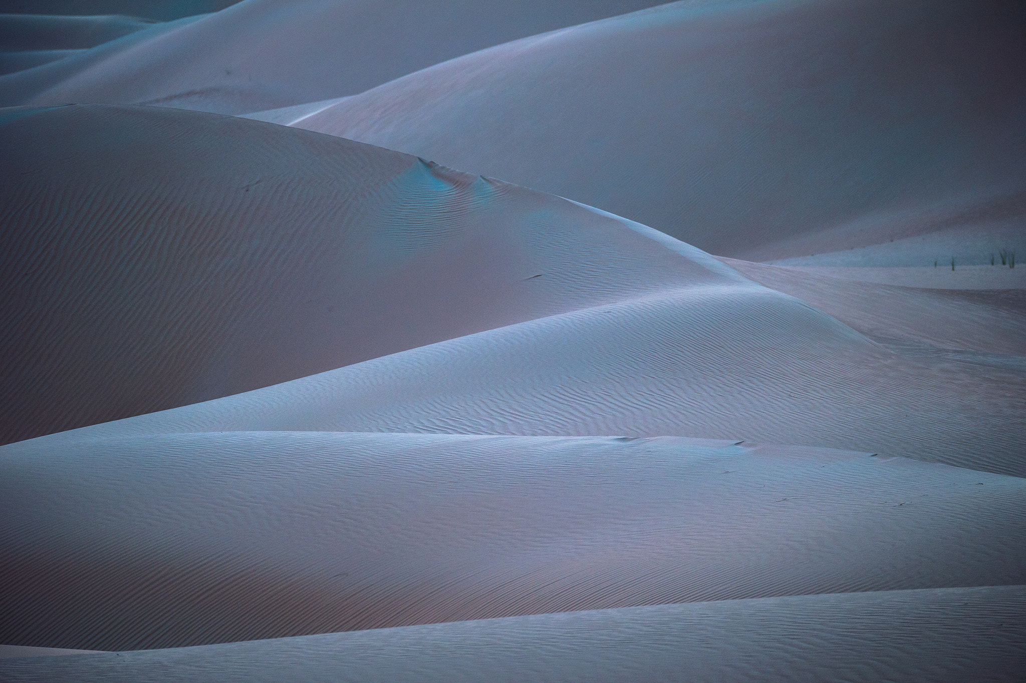 Sigma 150-600mm F5-6.3 DG OS HSM | S sample photo. Blue sand photography