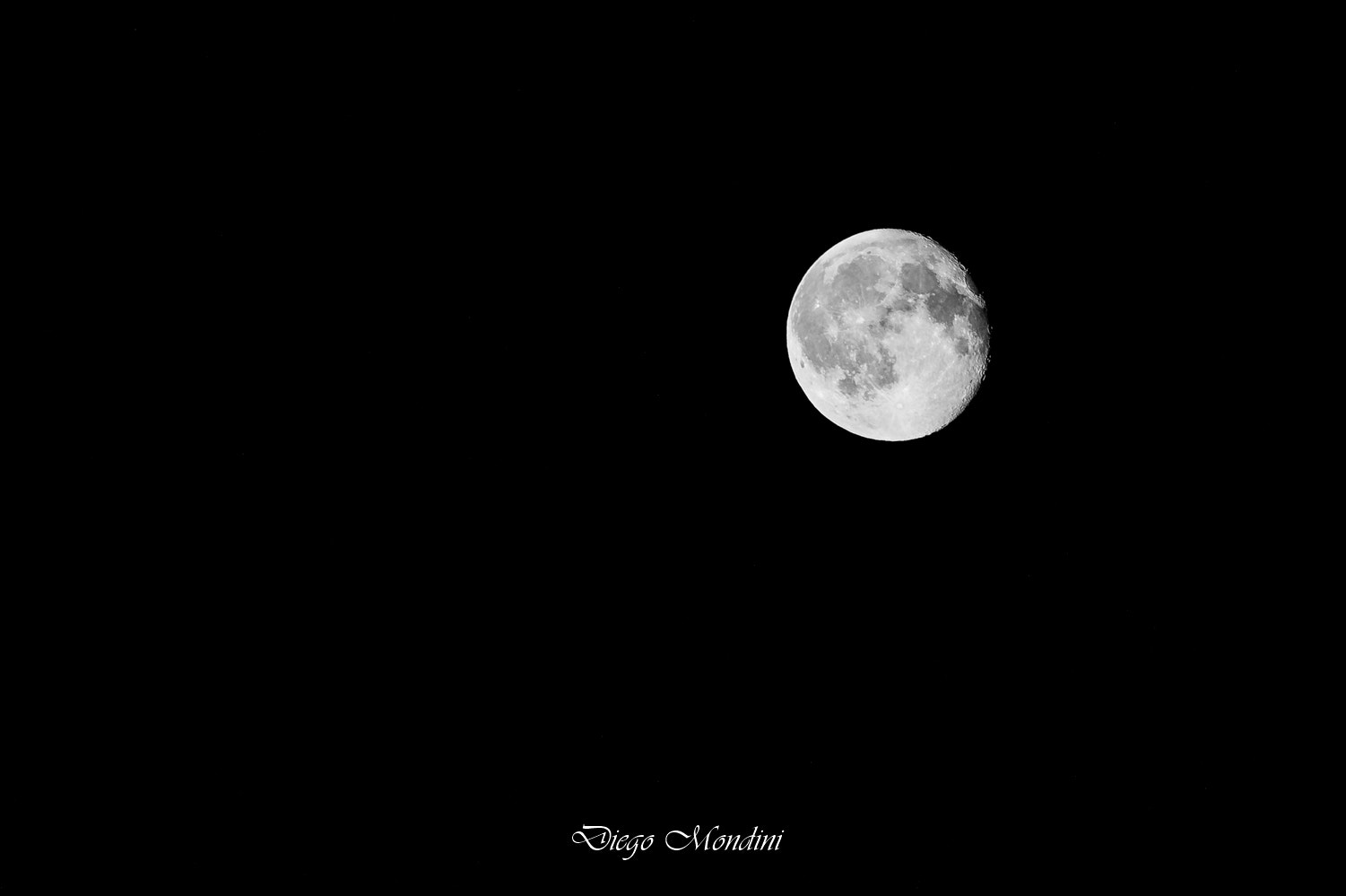 Nikon D4 sample photo. Luna photography