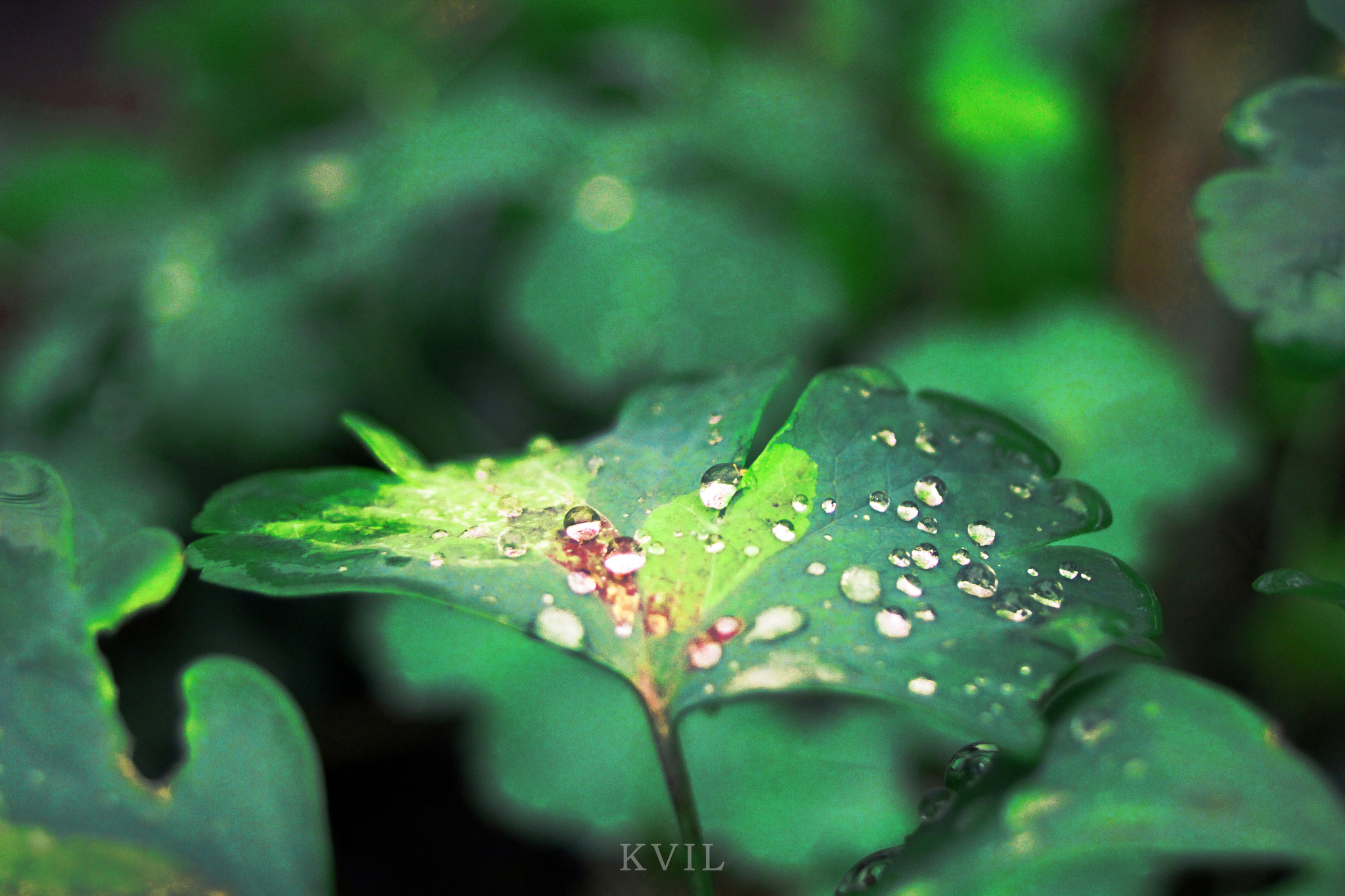Sigma 18-50mm f/3.5-5.6 DC sample photo. Изображение photography