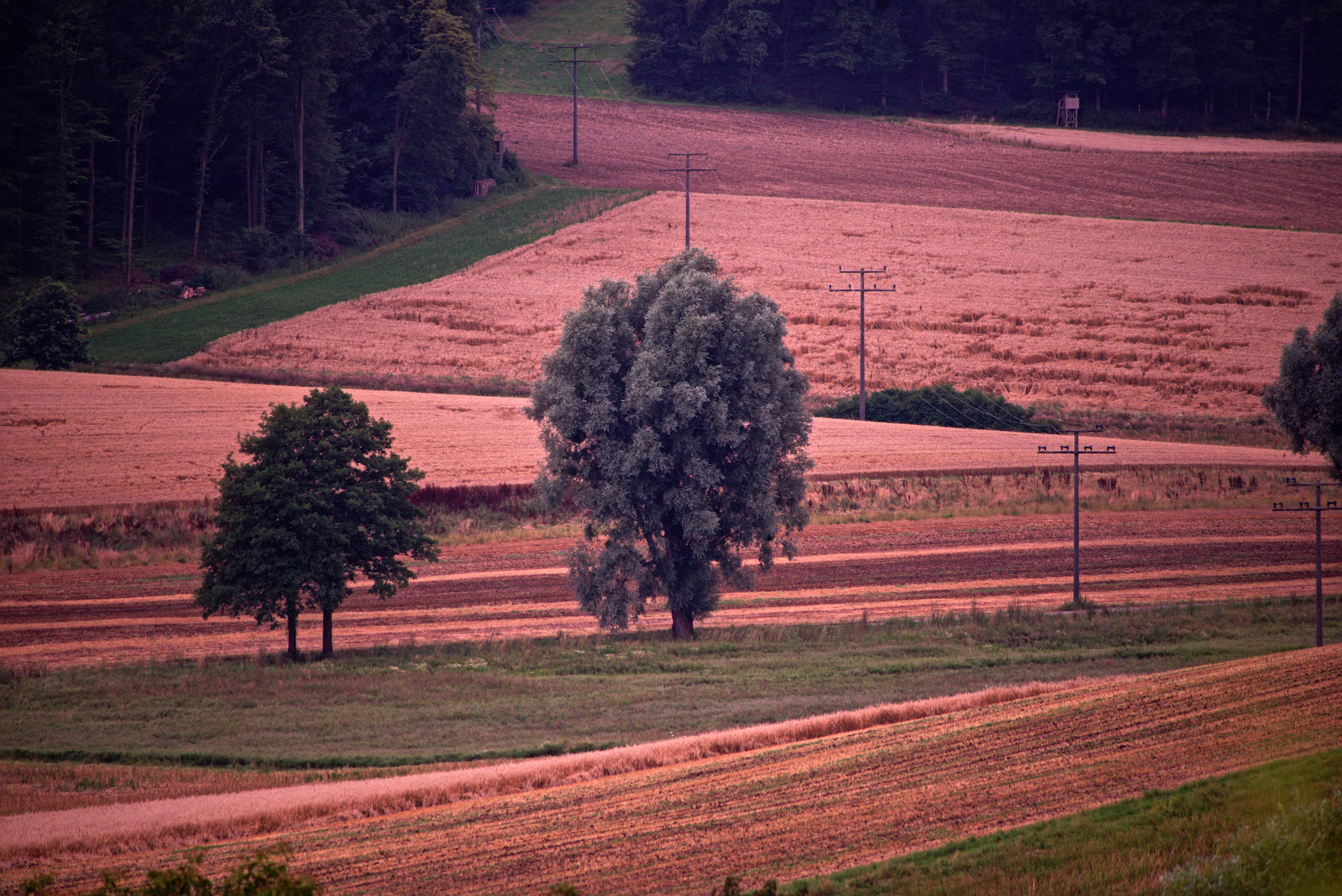 Manual Lens No CPU sample photo. Landscape in summer photography