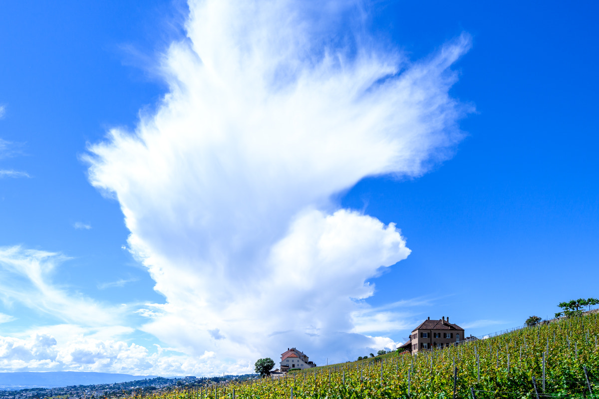 Nikon D5 sample photo. The cloud photography