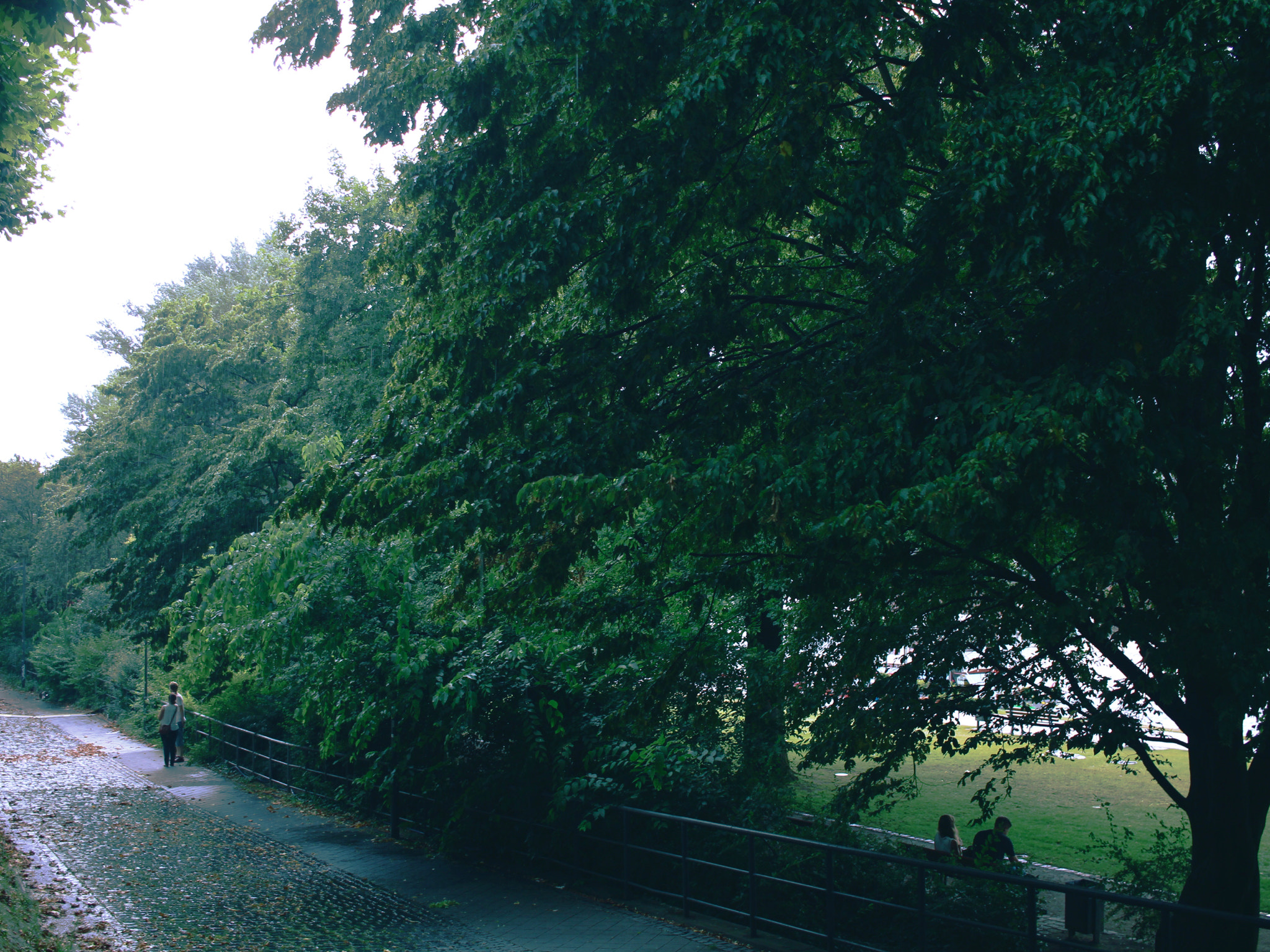 Canon EF-S 24mm F2.8 STM sample photo. Two couples photography