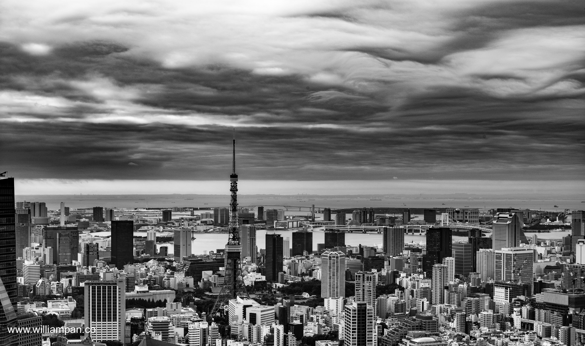 Leica Noctilux-M 50mm F0.95 ASPH sample photo. Tokyo tower photography