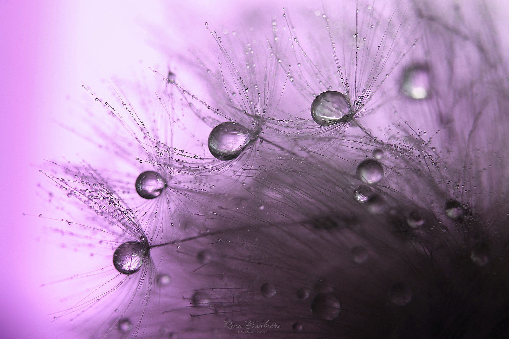 Sigma 105mm F2.8 EX DG OS HSM sample photo. Souls photography