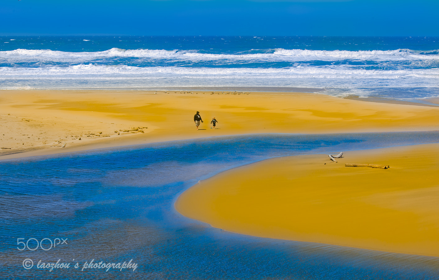 Nikon D3X sample photo. Harbor at california 2 photography