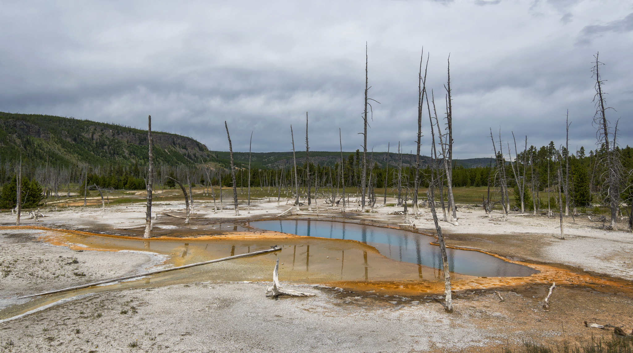 Nikon D500 sample photo. Black sand basin photography