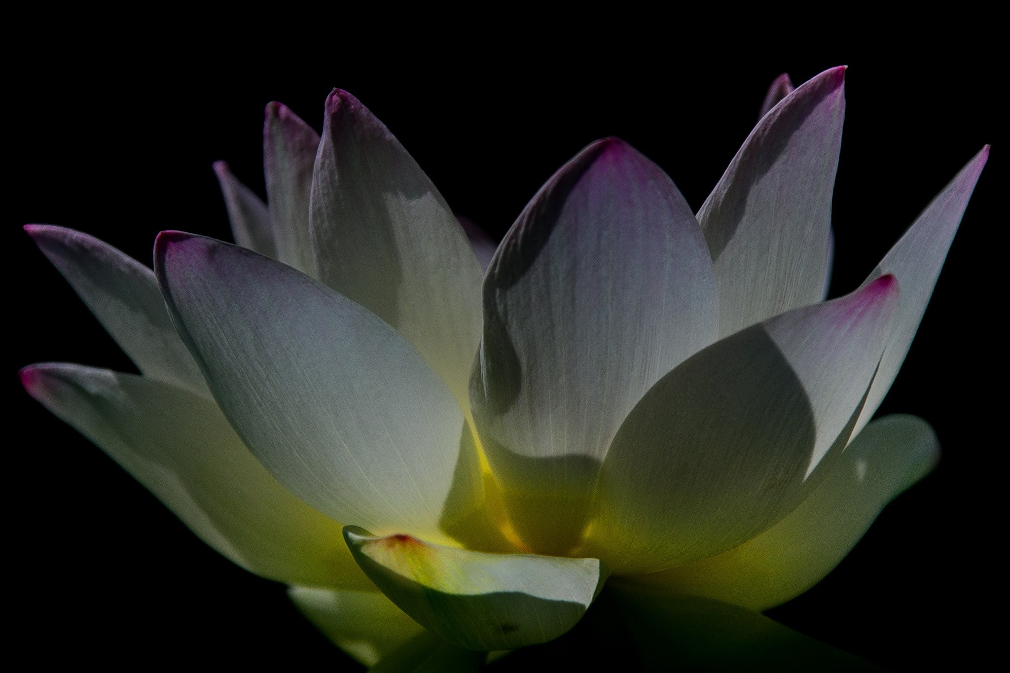 Canon EF 28-300mm F3.5-5.6L IS USM sample photo