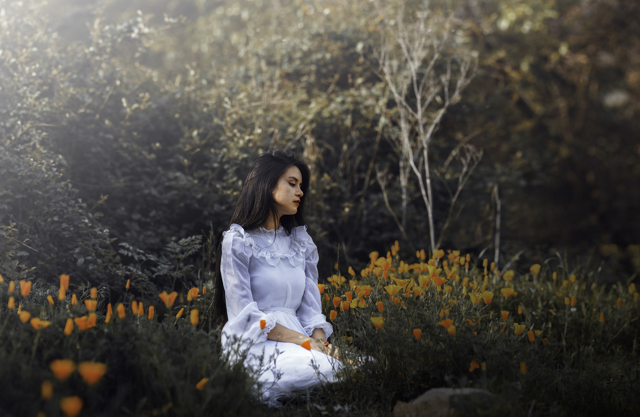 Canon EOS 60D + Canon EF 100mm F2.0 USM sample photo. . photography