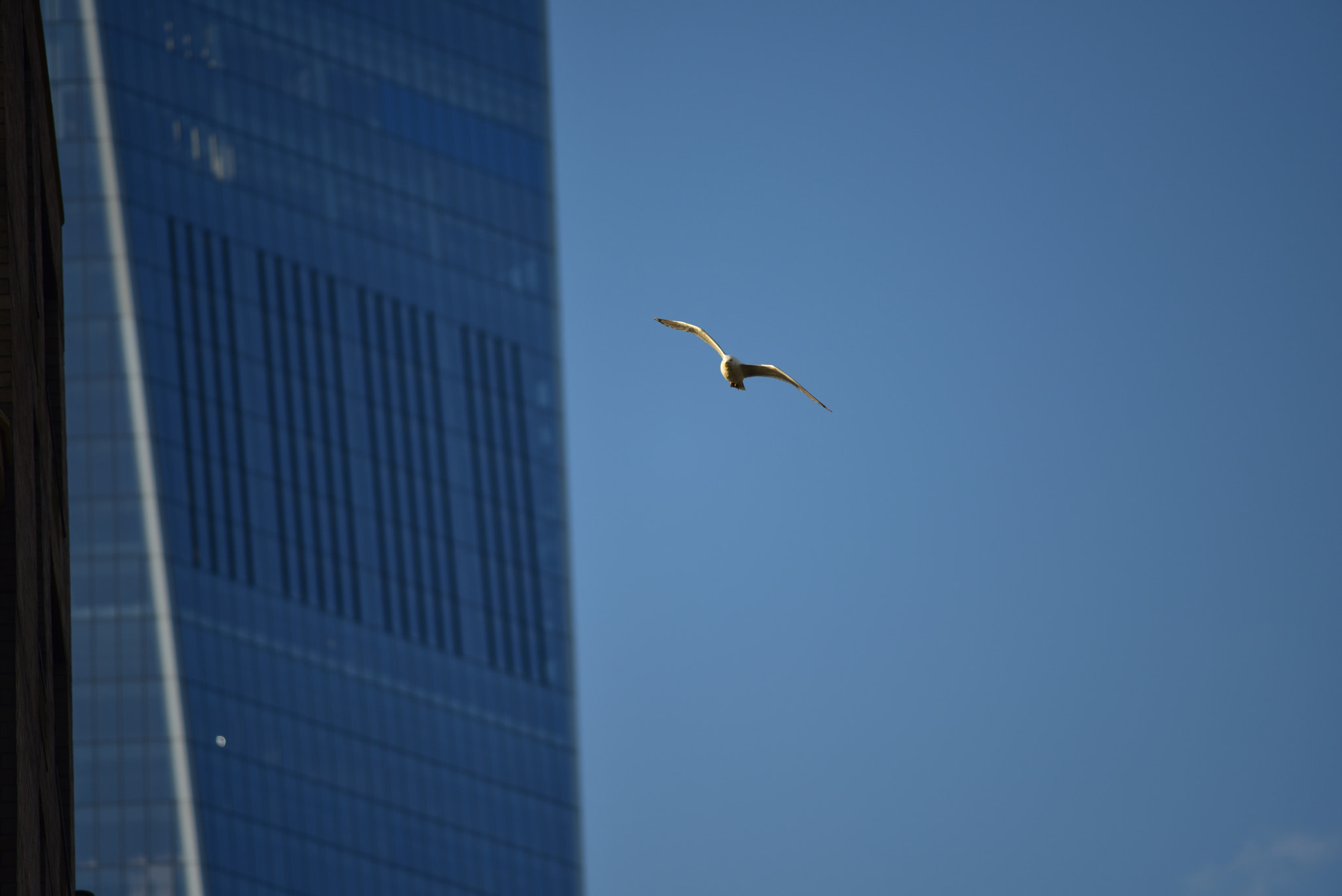 Tokina AT-X 304 AF (AF 300mm f/4.0) sample photo. Wtc plane photography