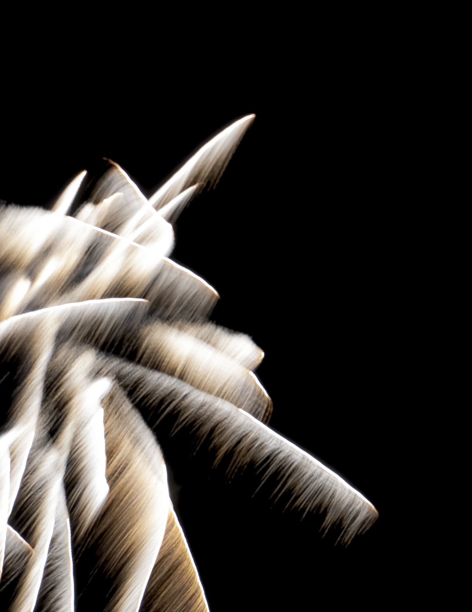 Nikon D3000 sample photo. Firework photography