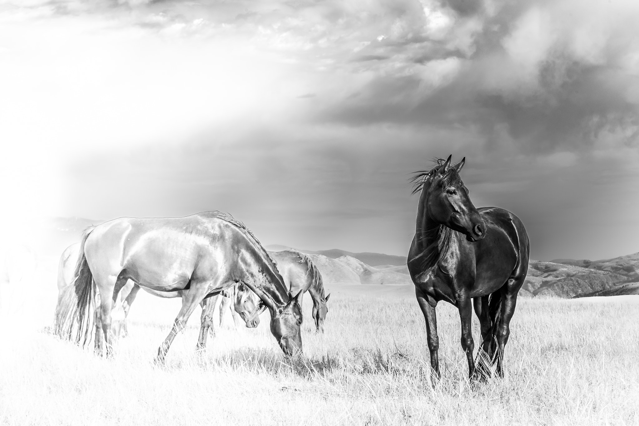 Nikon D5 sample photo. See your passion photography