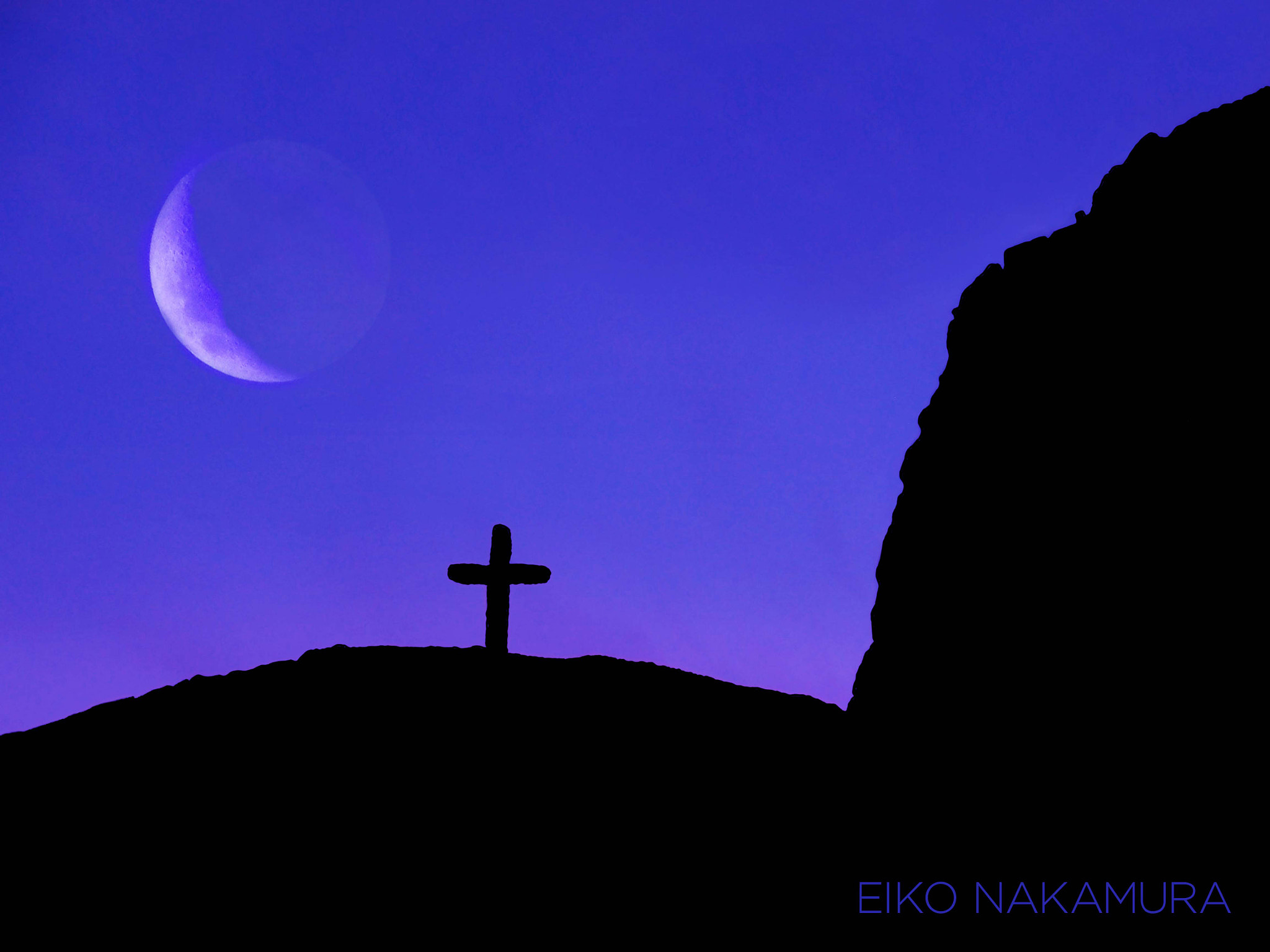 Olympus PEN E-P5 sample photo. Abstract purple photography