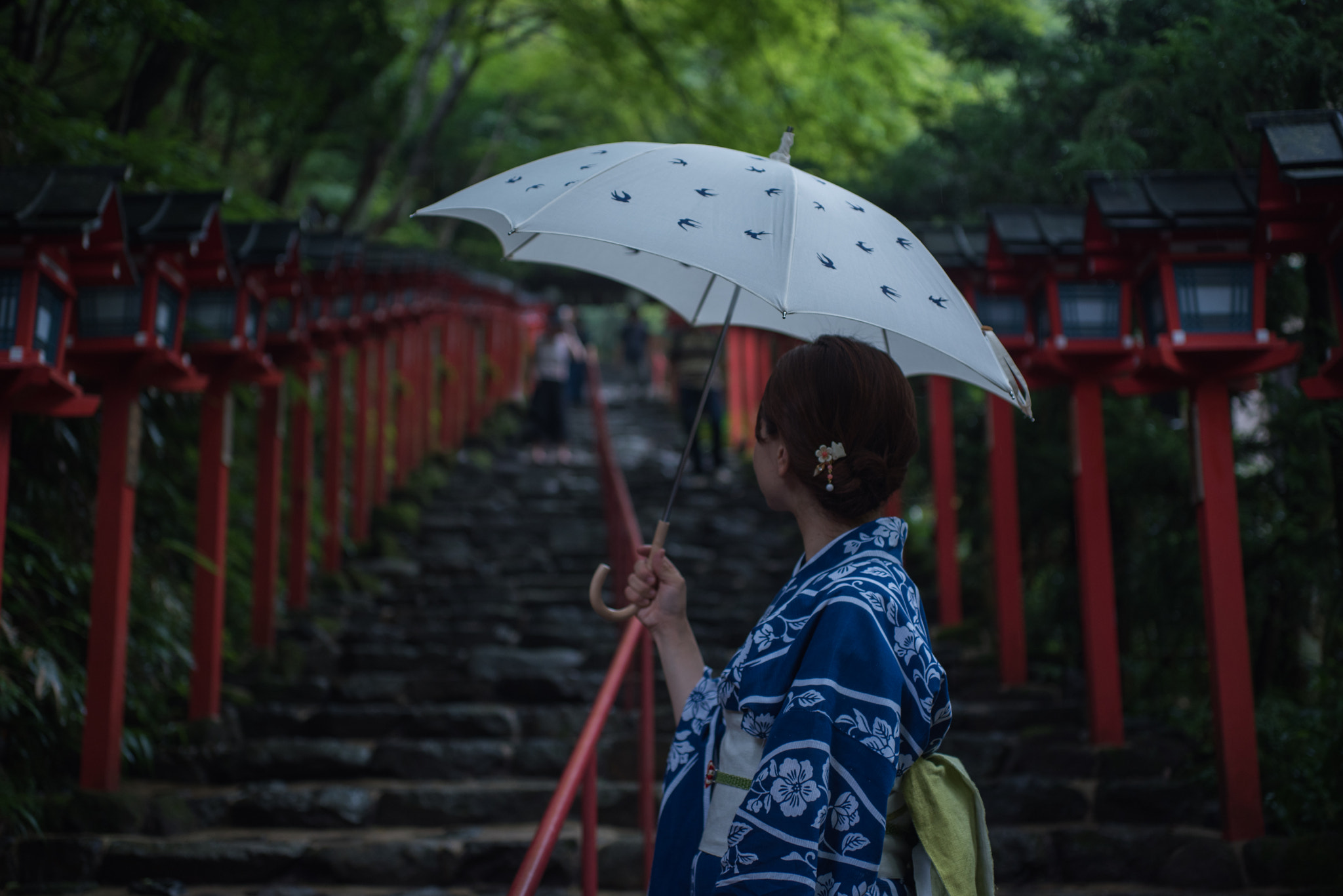 Nikon D750 + Sigma 50mm F2.8 EX DG Macro sample photo. On rainy day photography