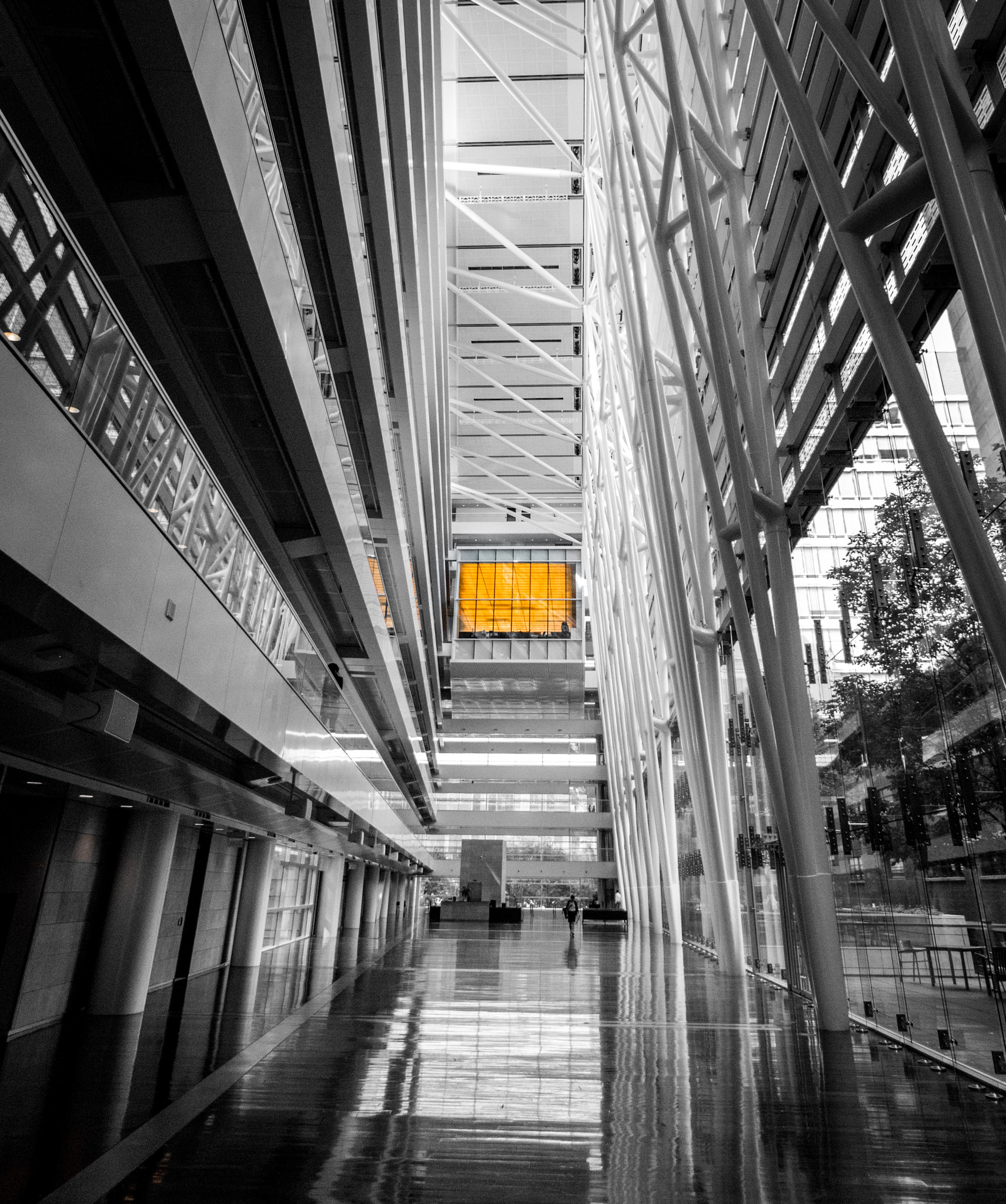 Tokina AT-X Pro 11-16mm F2.8 DX II sample photo. Yellow photography